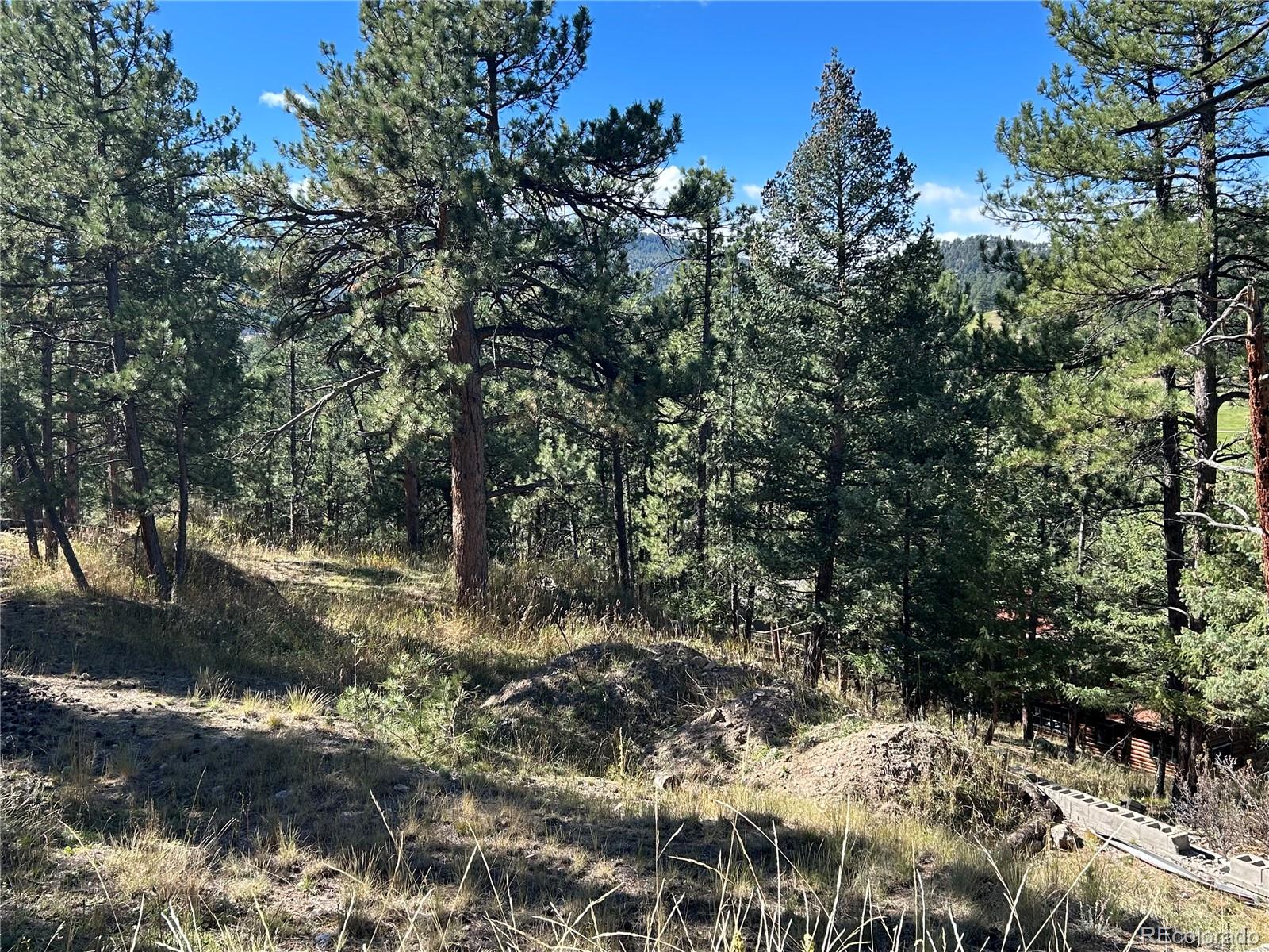 0 Pine Road Evergreen CO 80439