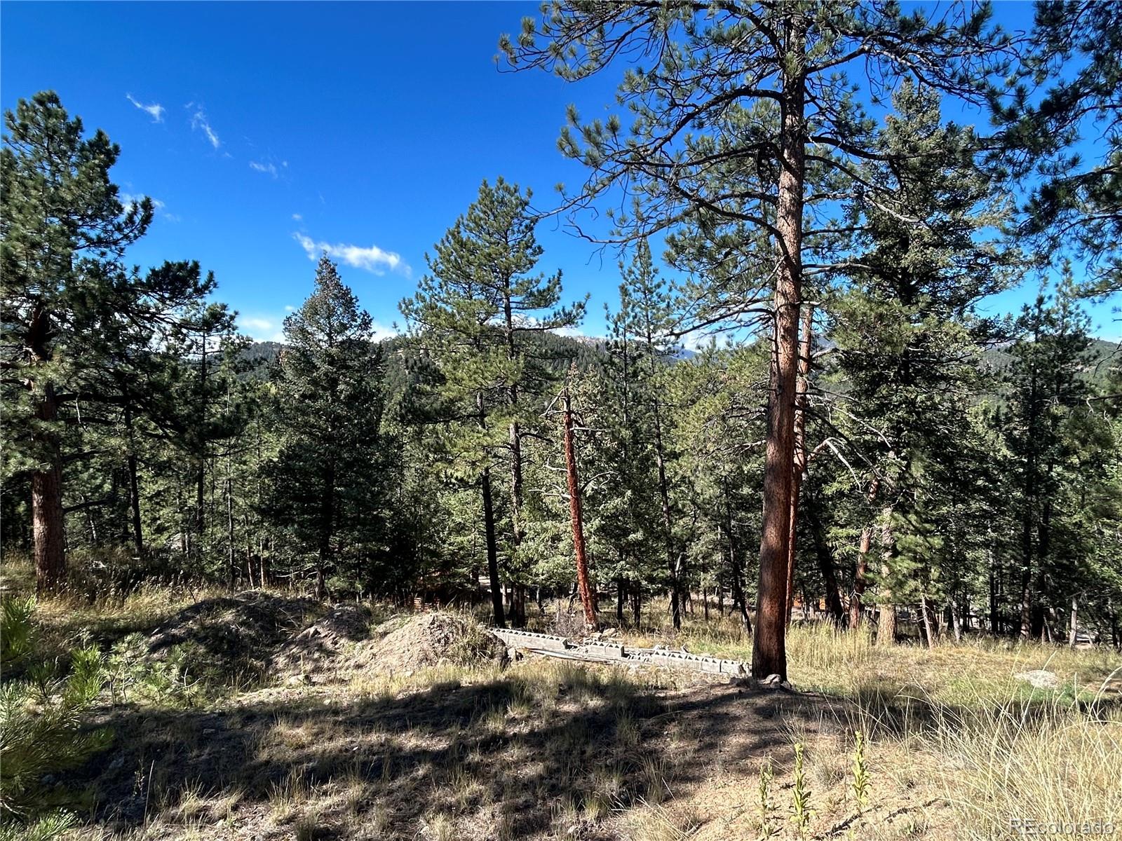 0 Pine Road Evergreen CO 80439