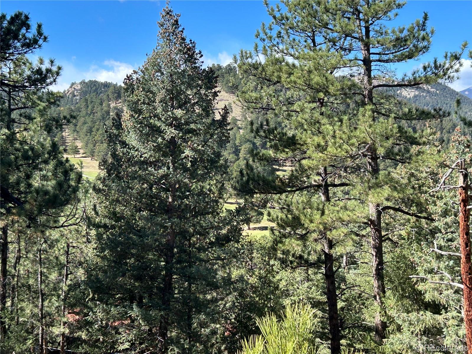 0 Pine Road Evergreen CO 80439