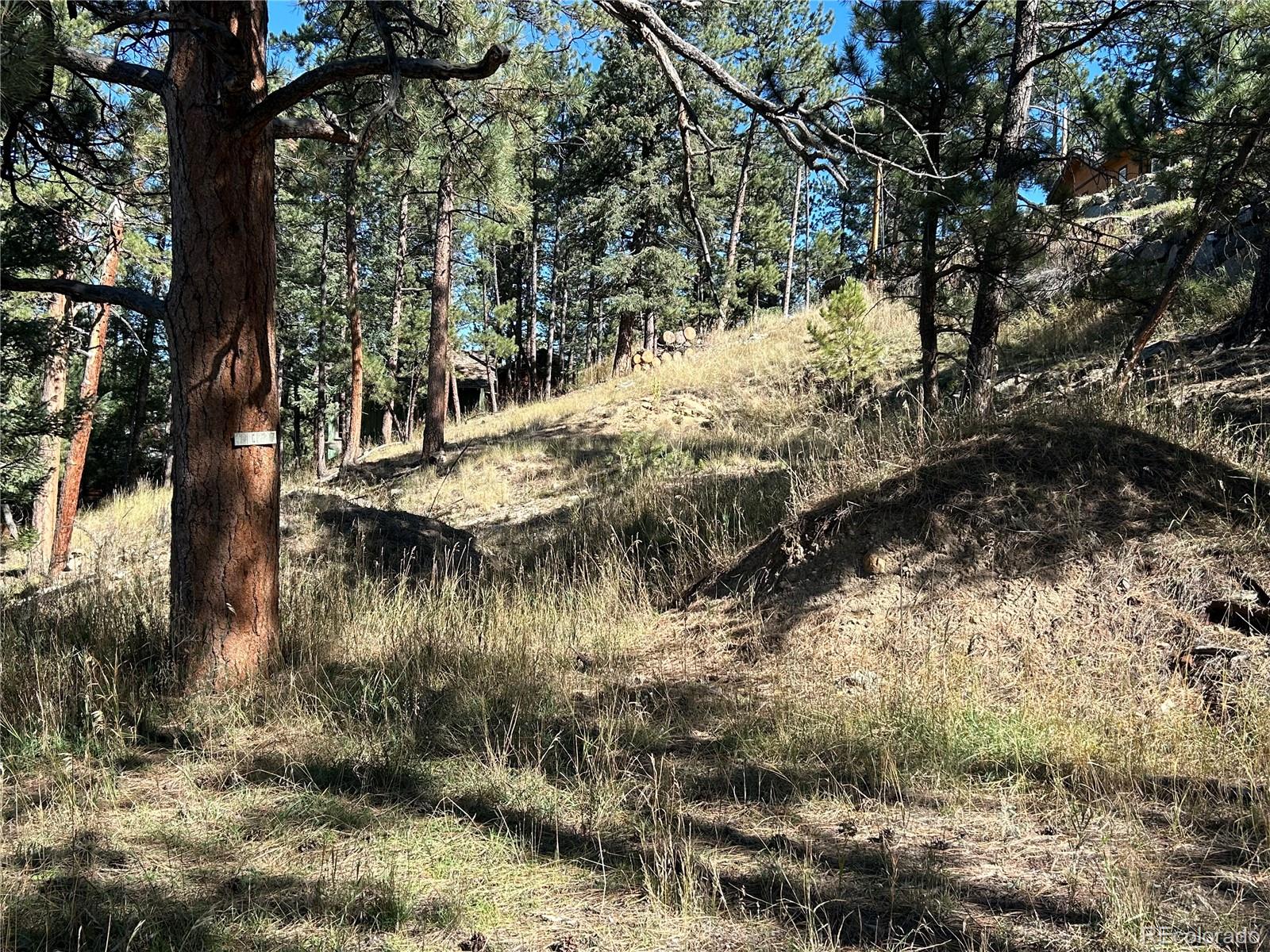 0 Pine Road Evergreen CO 80439