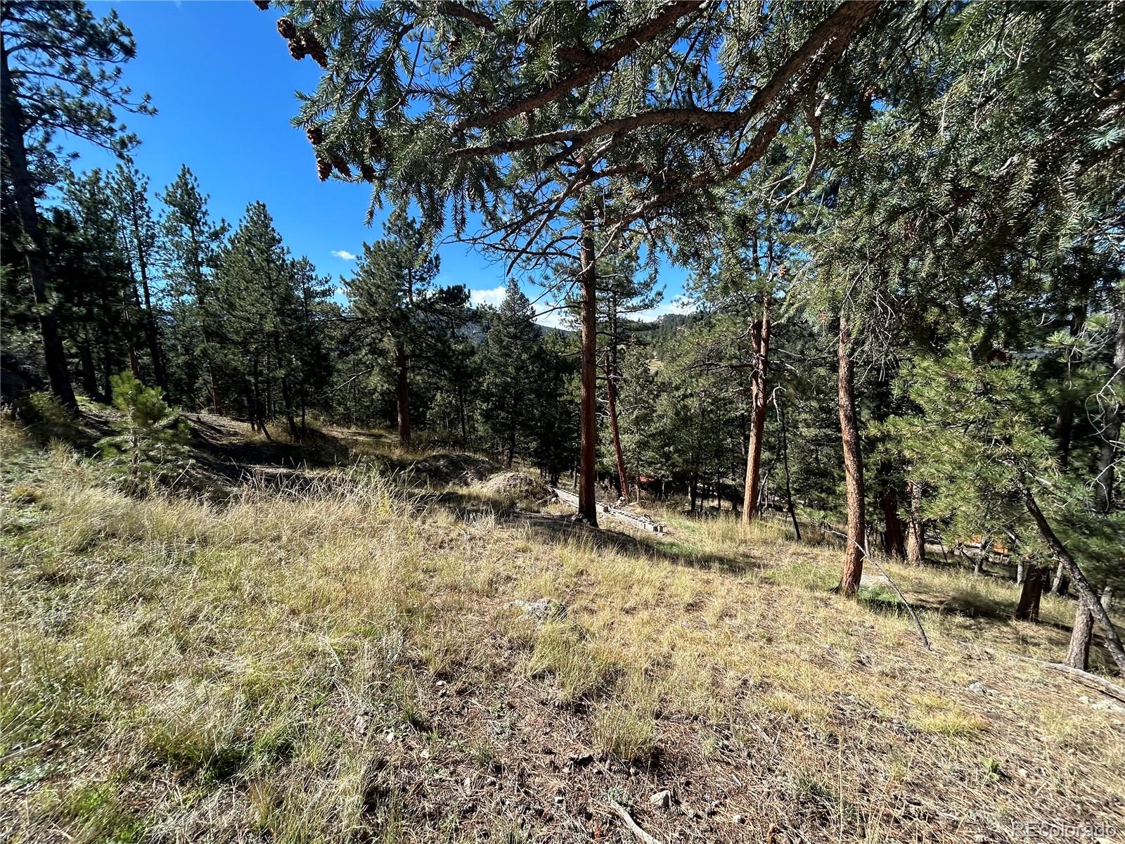 0 Pine Road Evergreen CO 80439