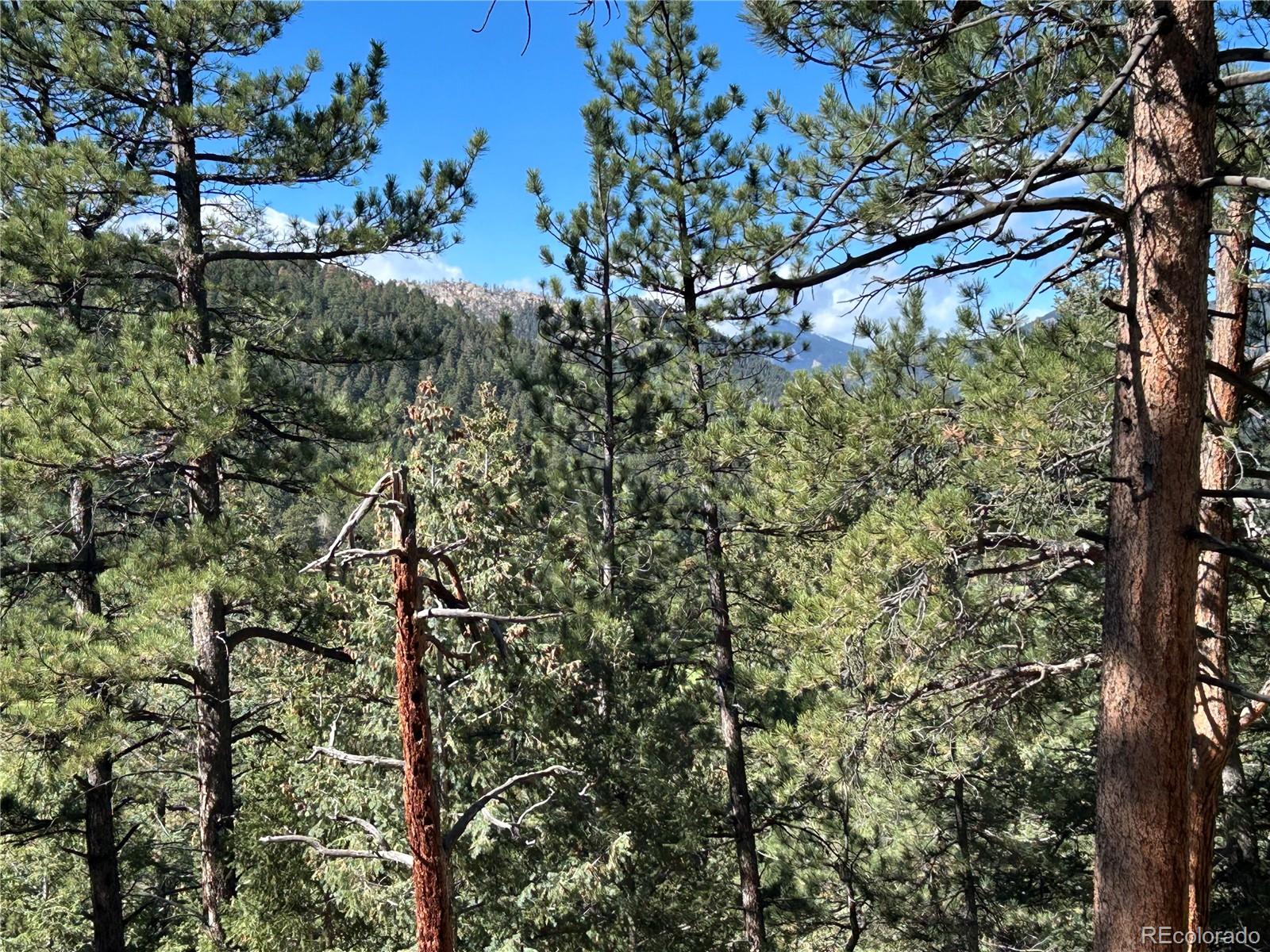 0 Pine Road Evergreen CO 80439