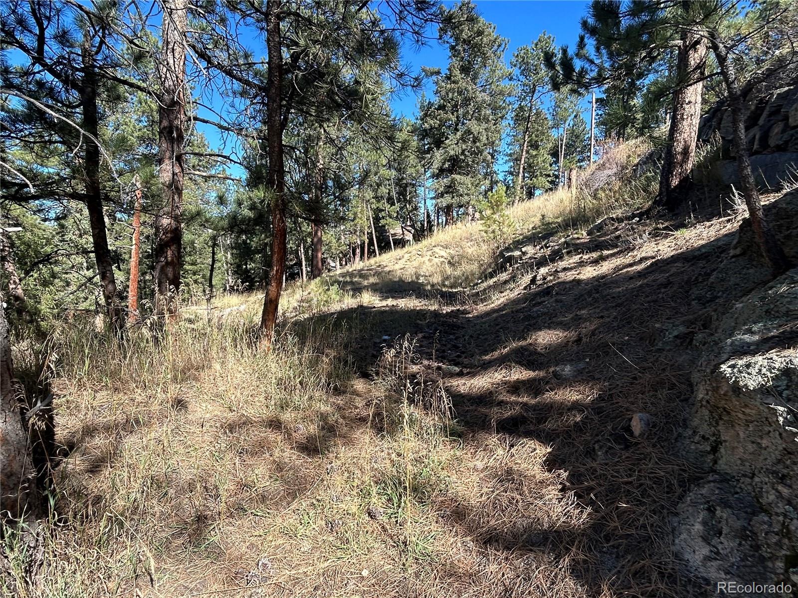 0 Pine Road Evergreen CO 80439