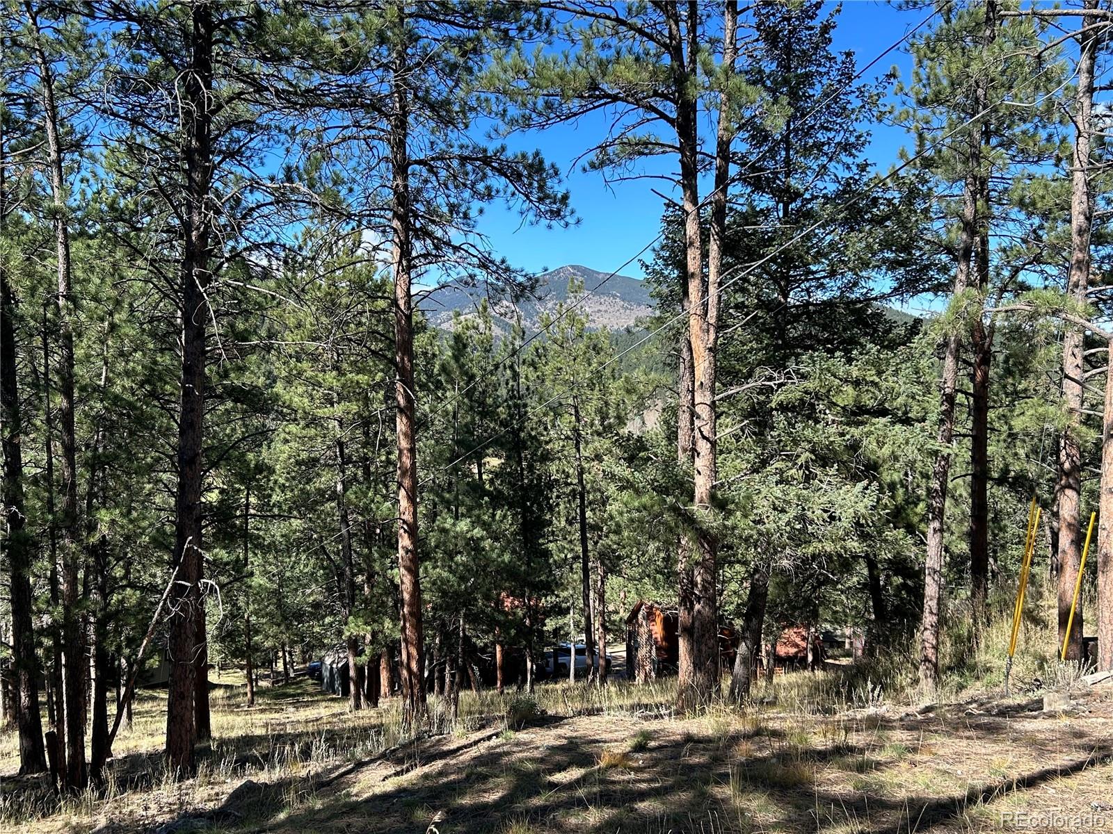 0 Pine Road Evergreen CO 80439