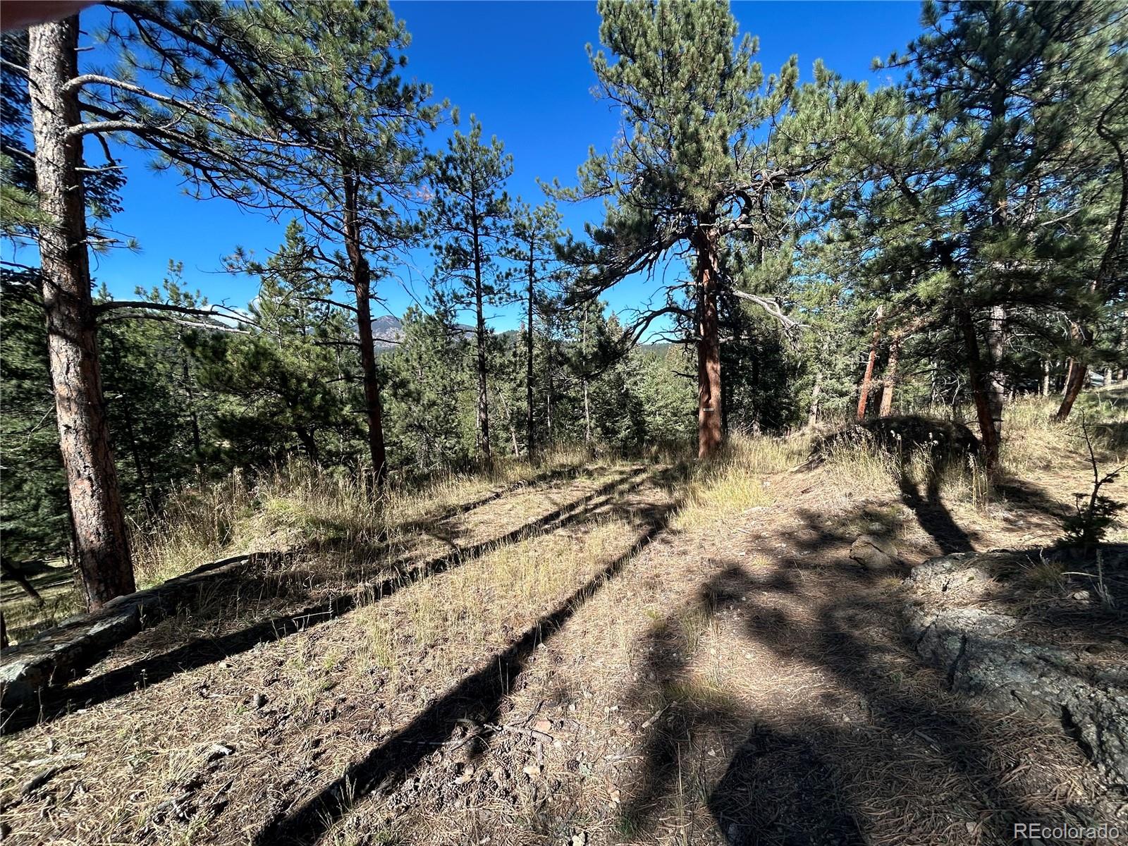 0 Pine Road Evergreen CO 80439