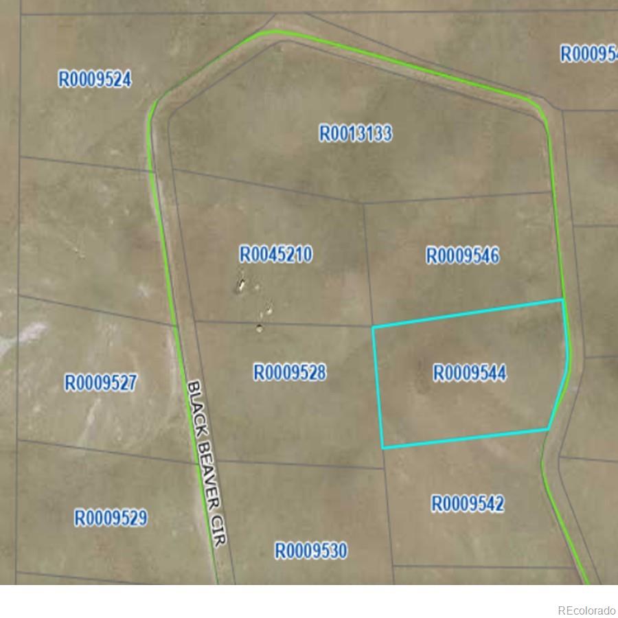 758 Black Beaver Circle Hartsel CO 80449