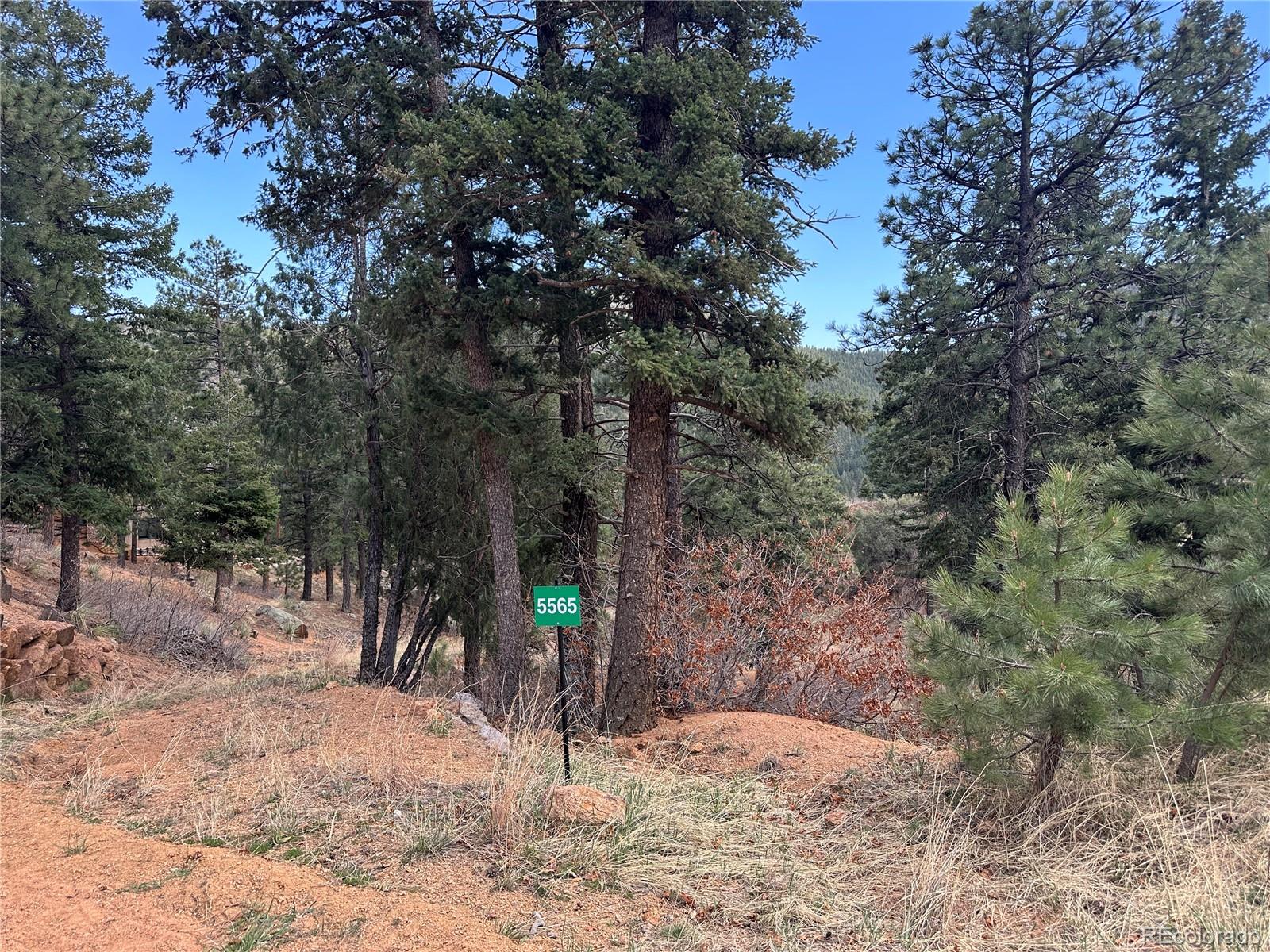5565 Founders Manitou Springs CO 80829