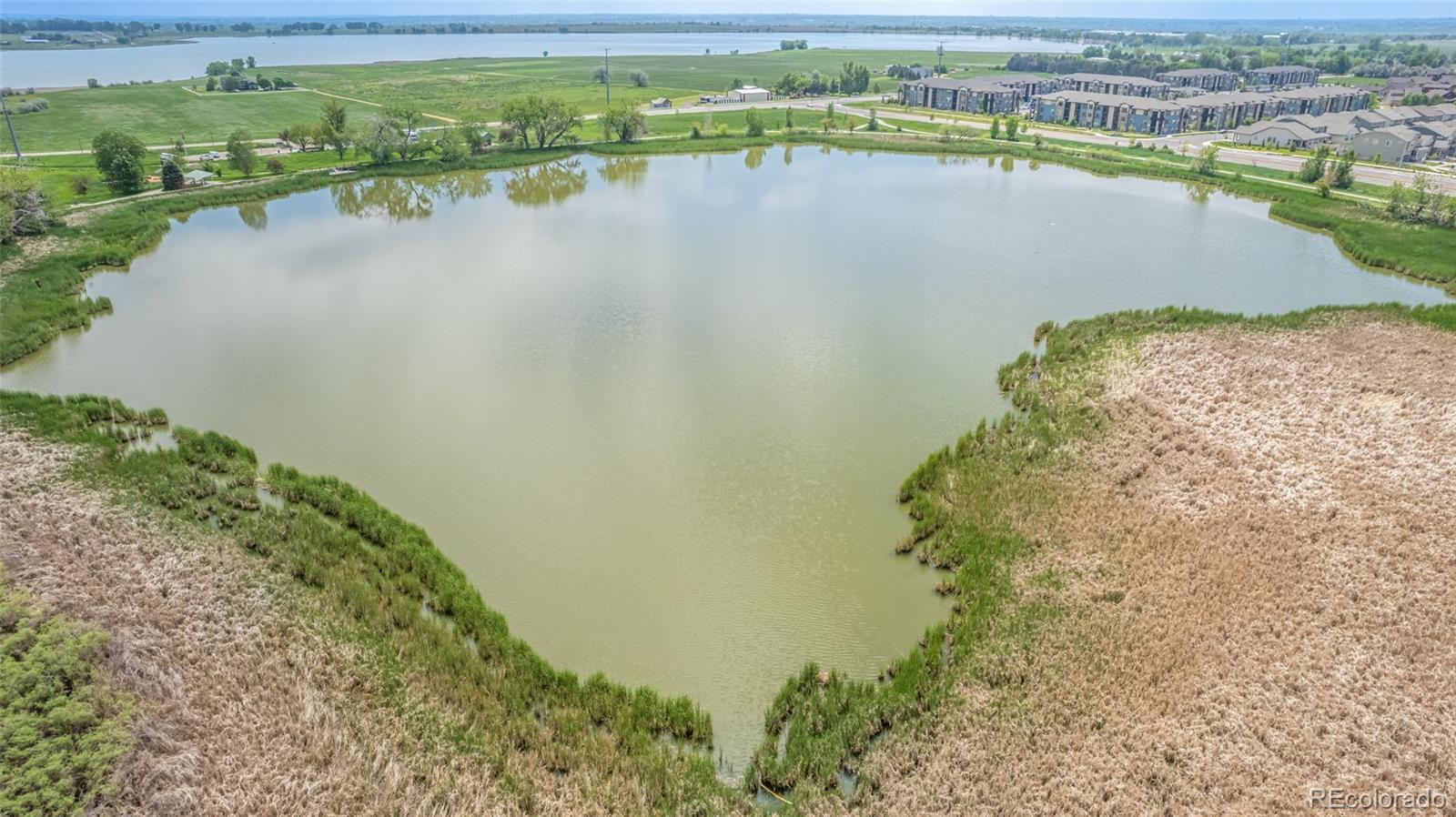 1711 Wildlife Place Longmont CO 80504