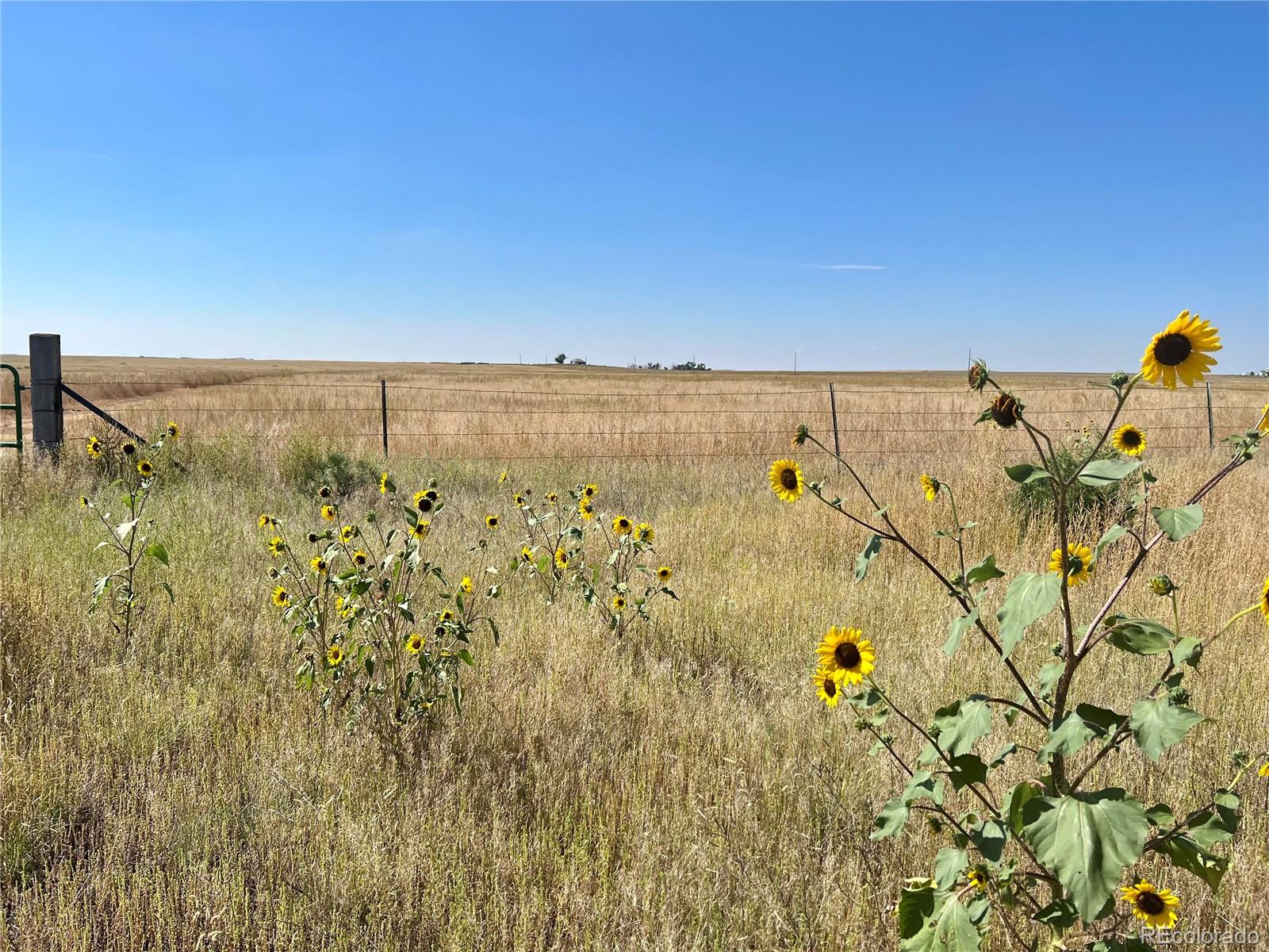 46850 County Road 46 Limon CO 80828
