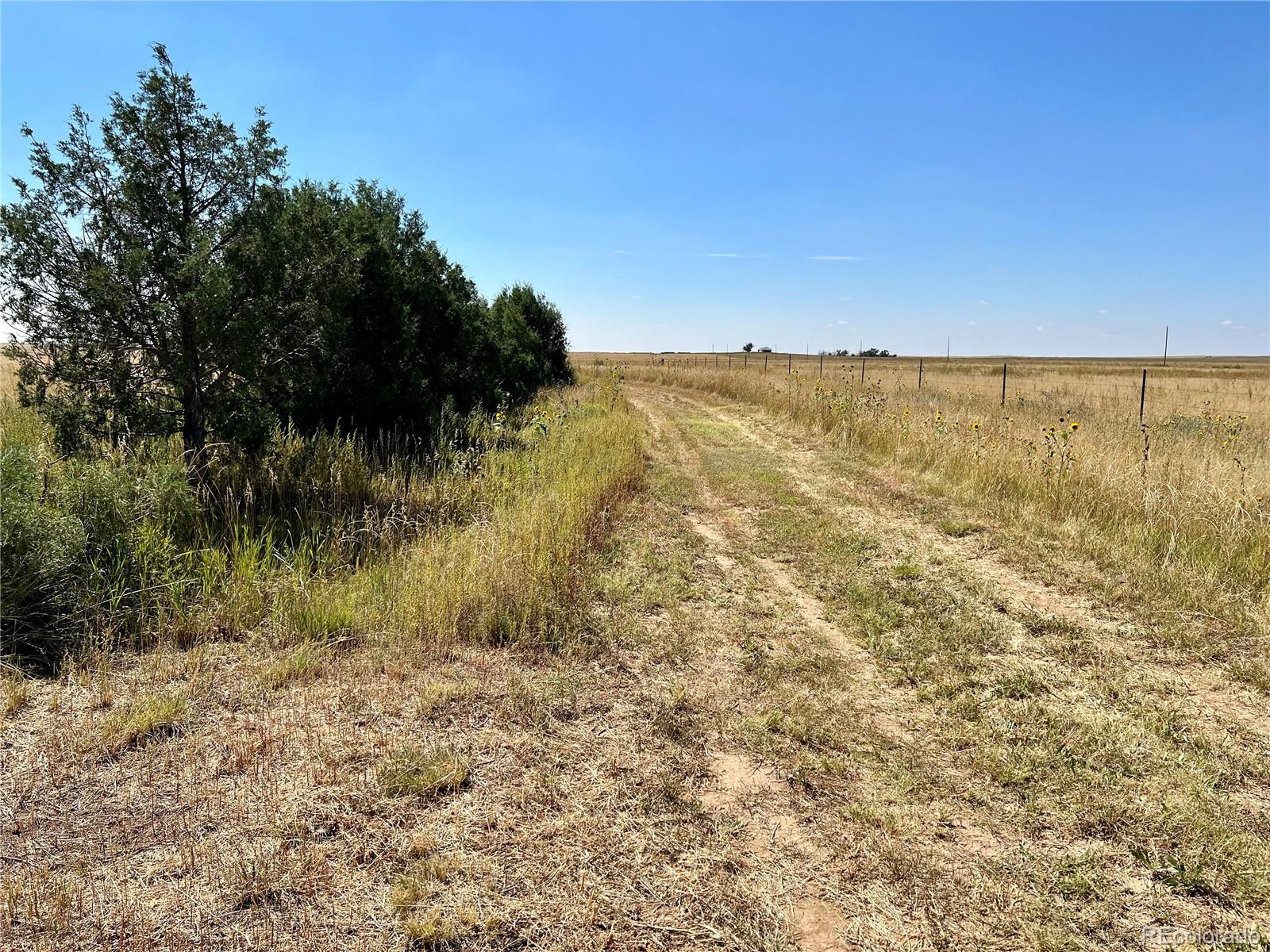 46850 County Road 46 Limon CO 80828