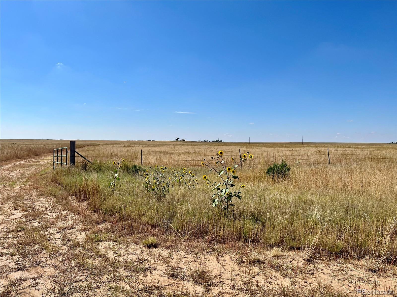 46850 County Road 46 Limon CO 80828