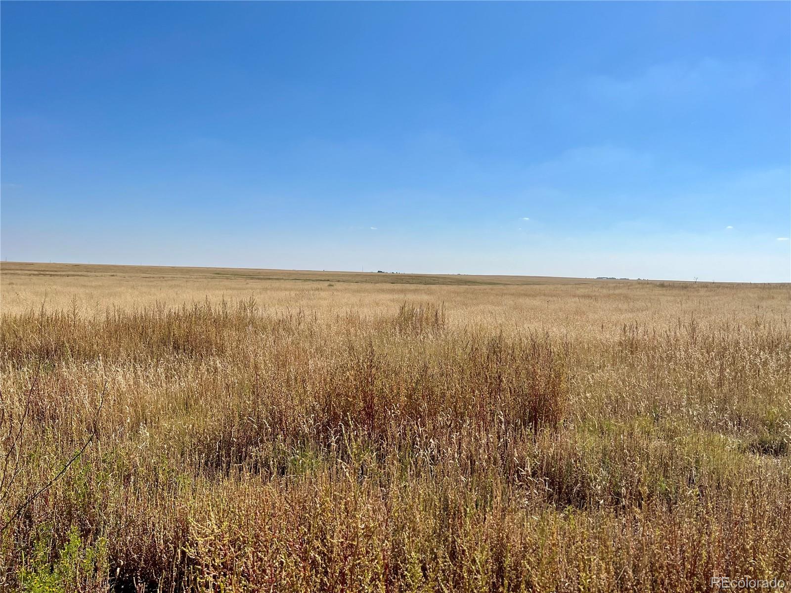 46850 County Road 46 Limon CO 80828