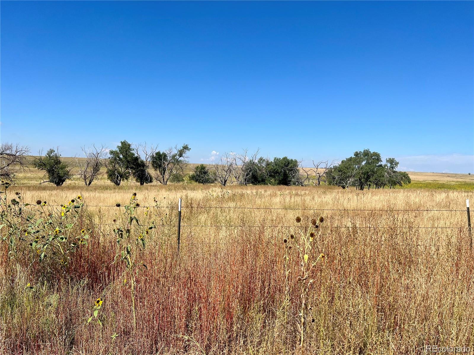 46850 County Road 46 Limon CO 80828