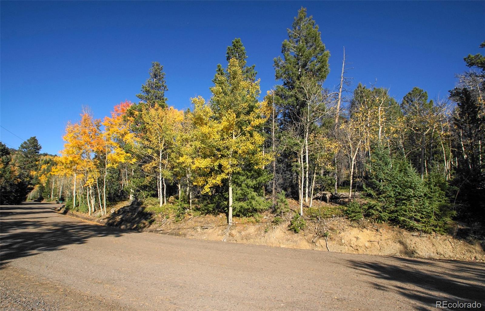 11637 Leavenworth Drive Conifer CO 80433