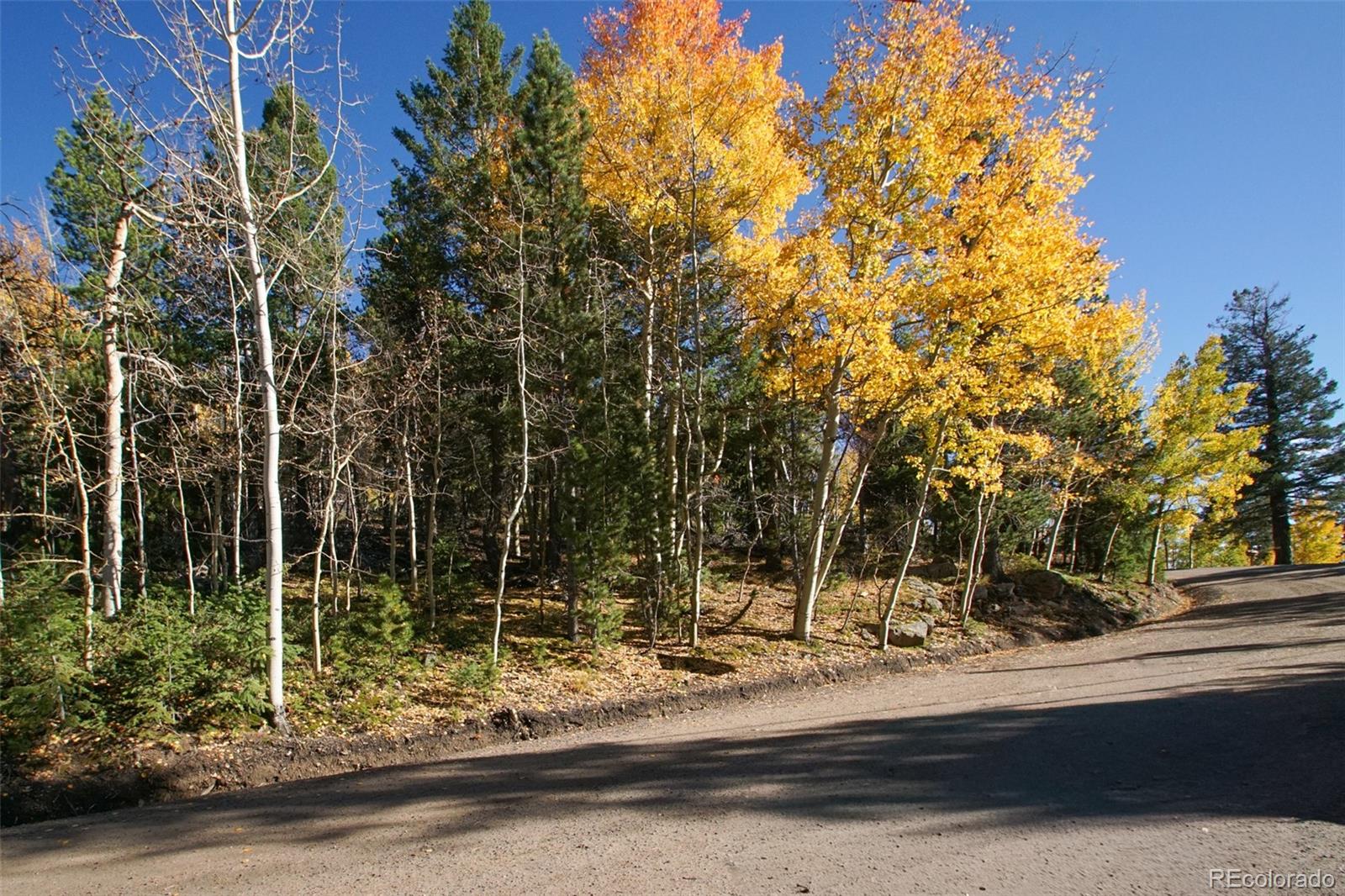 11637 Leavenworth Drive Conifer CO 80433