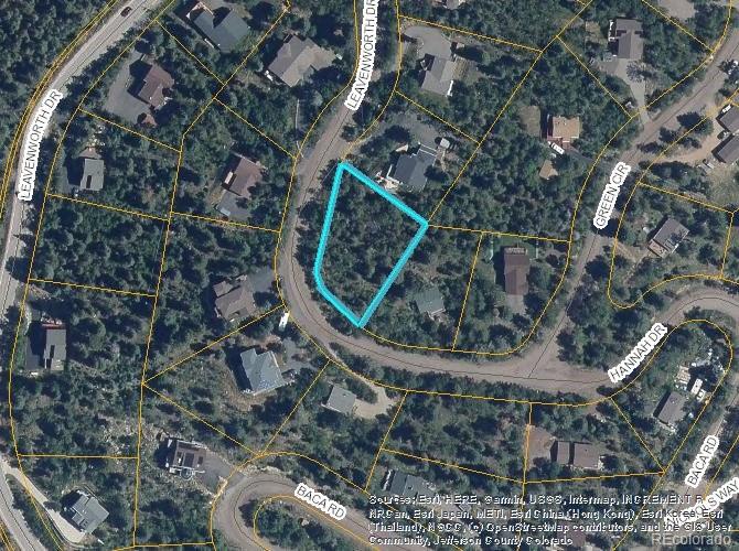 11637 Leavenworth Drive Conifer CO 80433