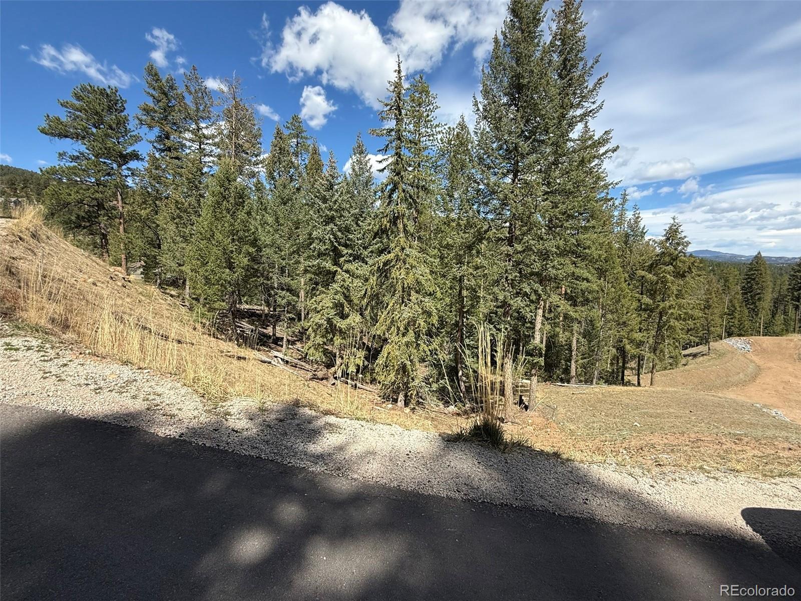 6845 Lynx Lair Road Evergreen CO 80439