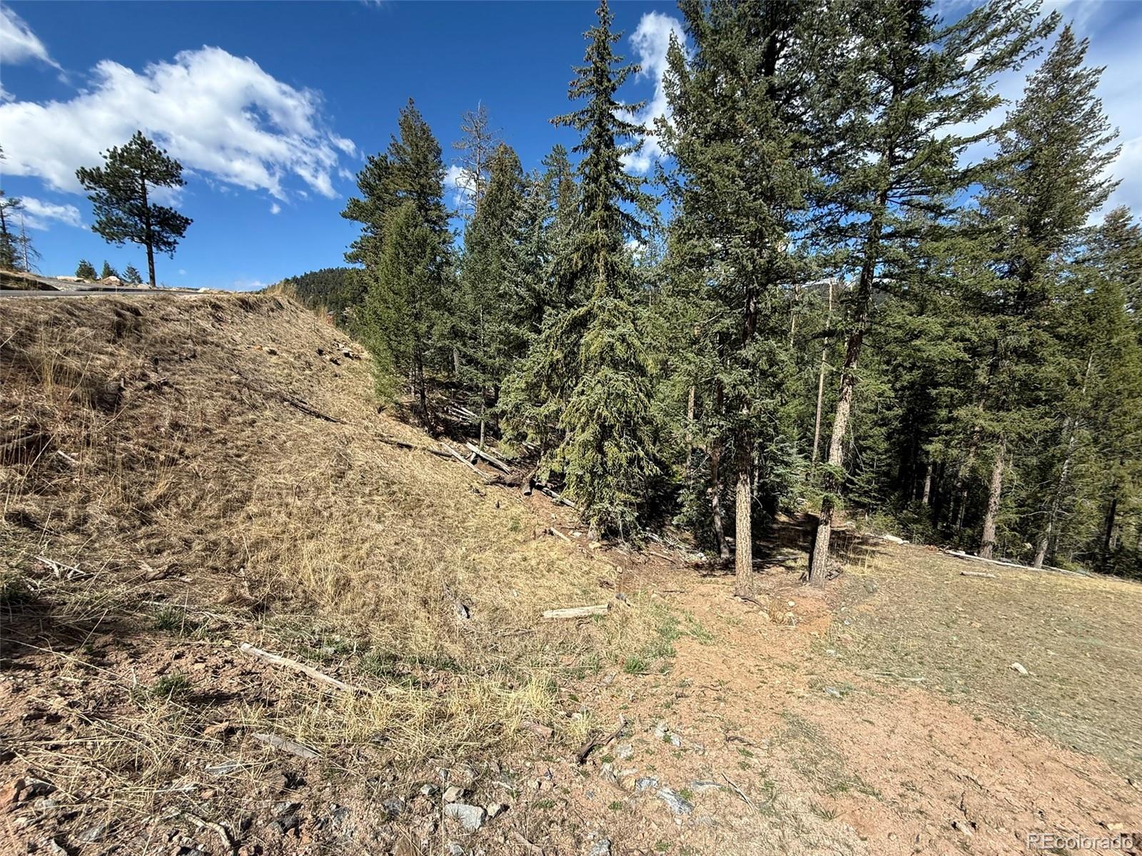 6845 Lynx Lair Road Evergreen CO 80439