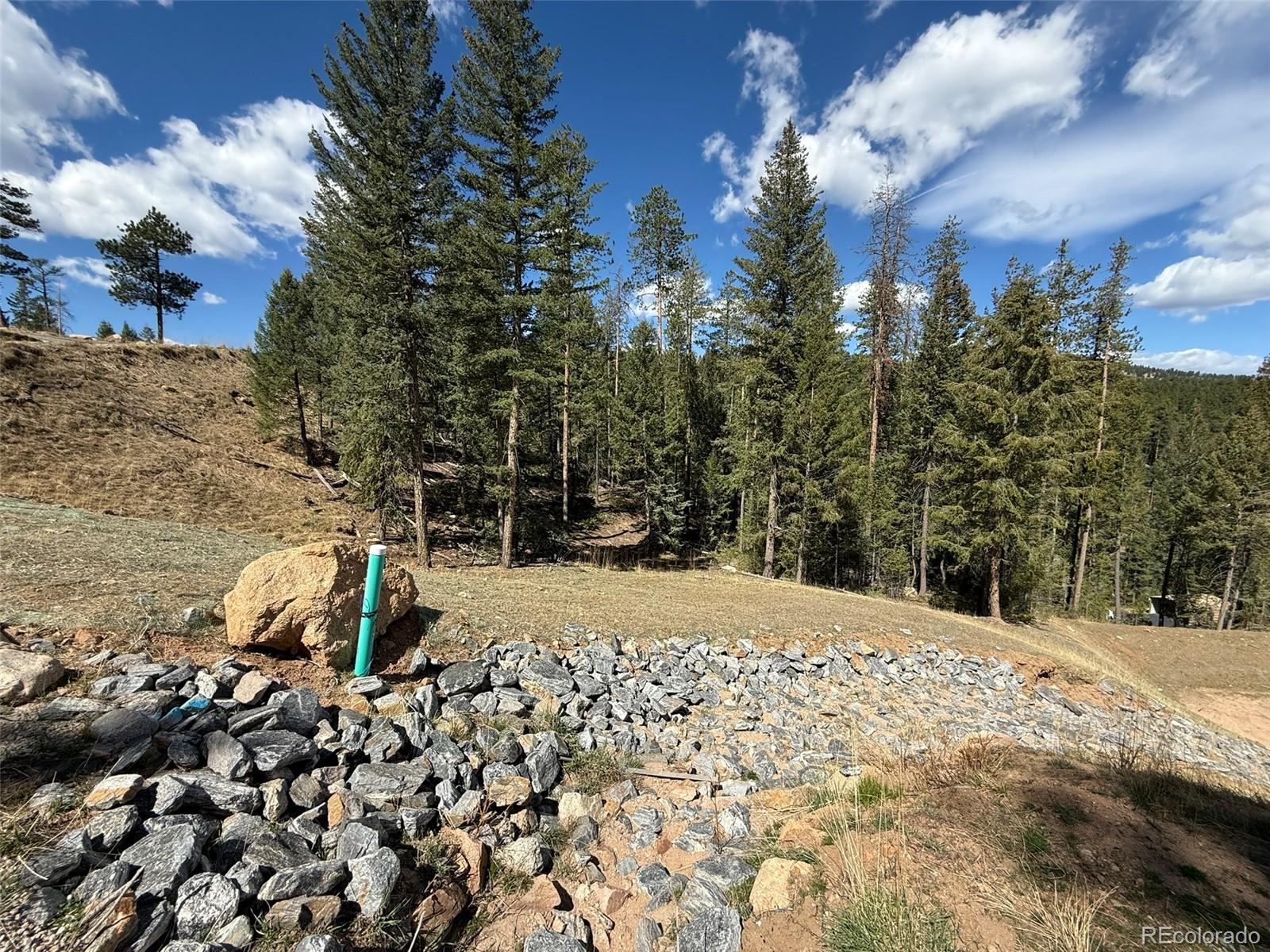6845 Lynx Lair Road Evergreen CO 80439