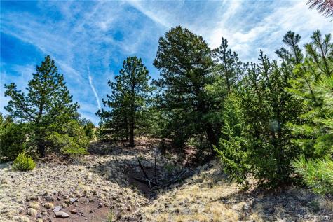 1282 County Road 169a Cotopaxi CO 81223
