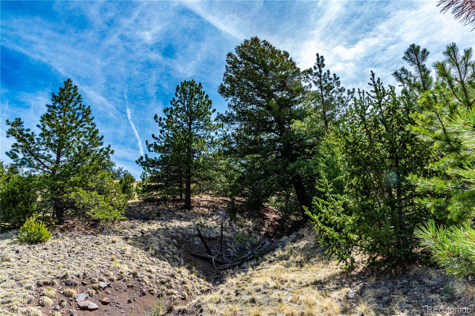 1282 County Road 169a Cotopaxi CO 81223