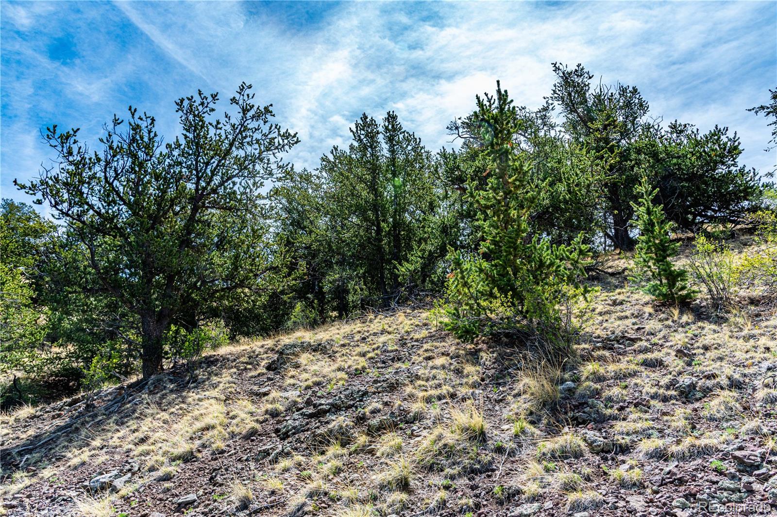 1282 County Road 169a Cotopaxi CO 81223