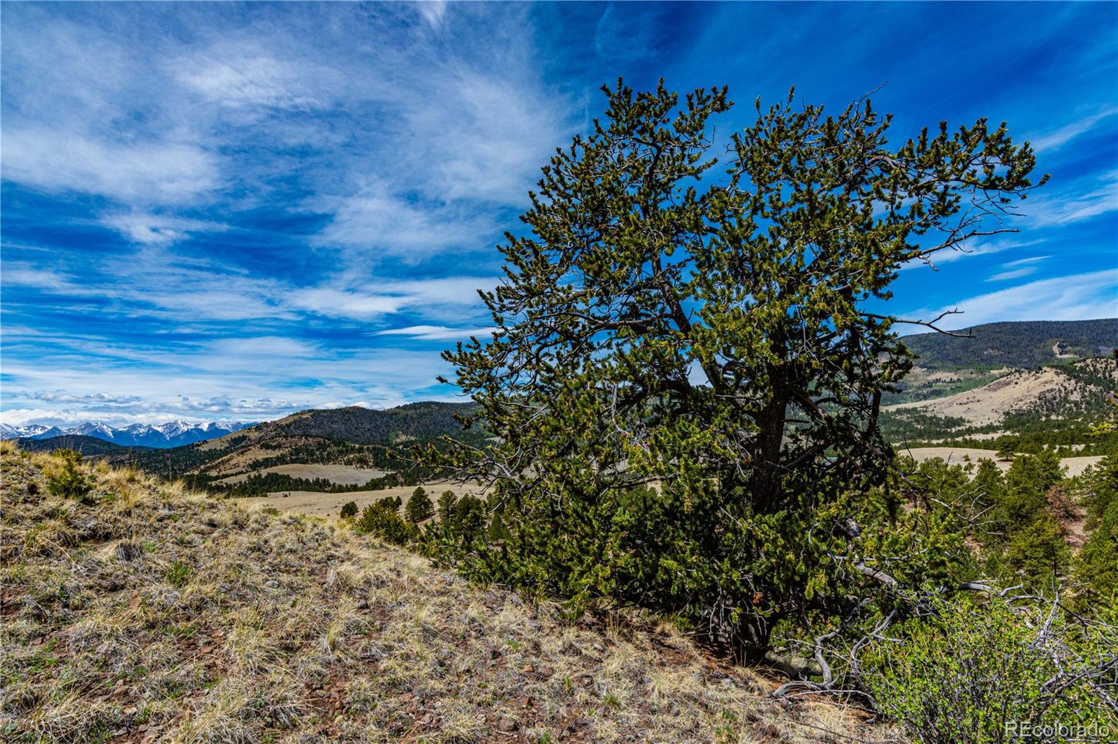 1282 County Road 169a Cotopaxi CO 81223