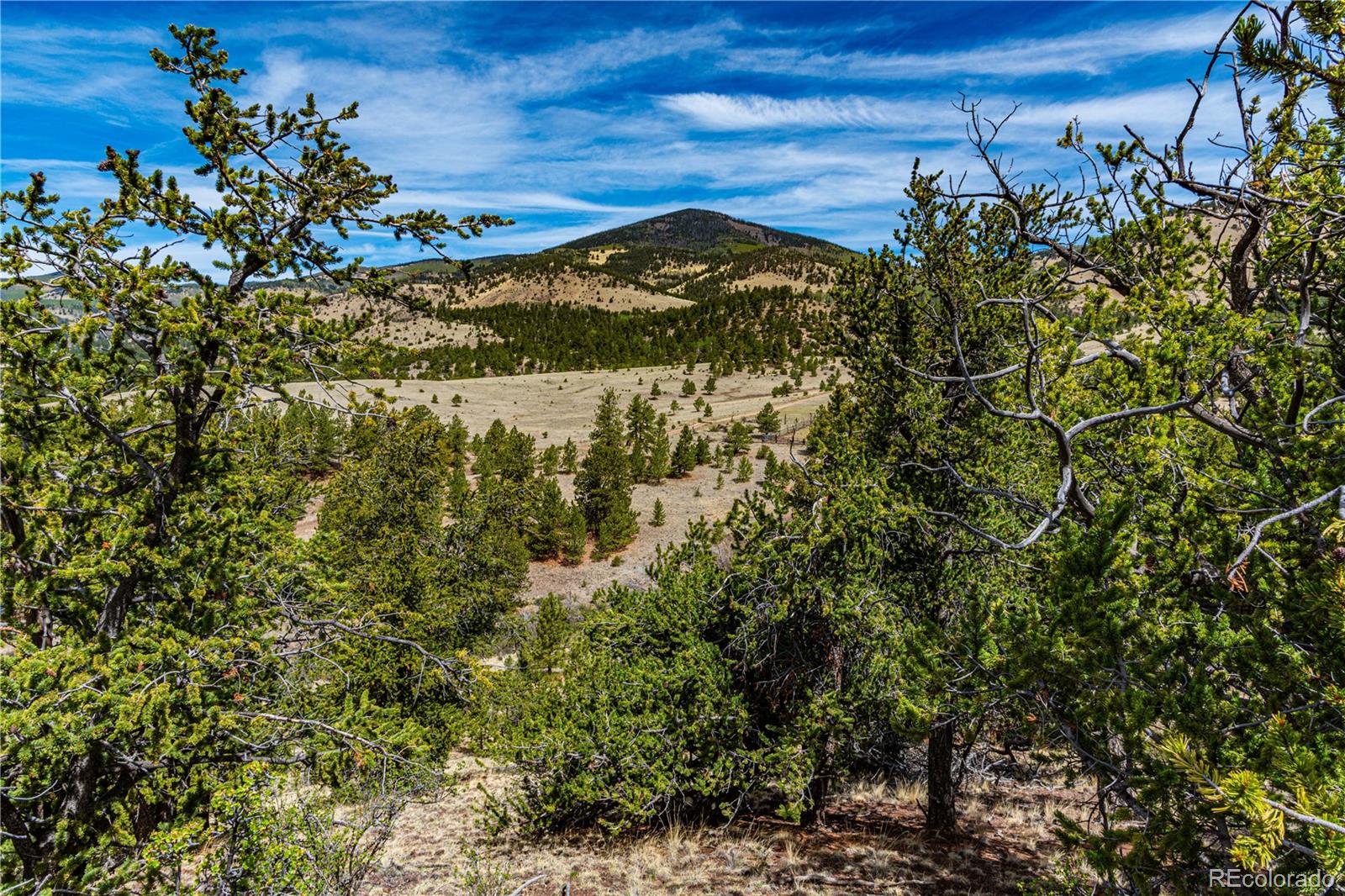 1282 County Road 169a Cotopaxi CO 81223
