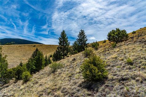1282 County Road 169a Cotopaxi CO 81223