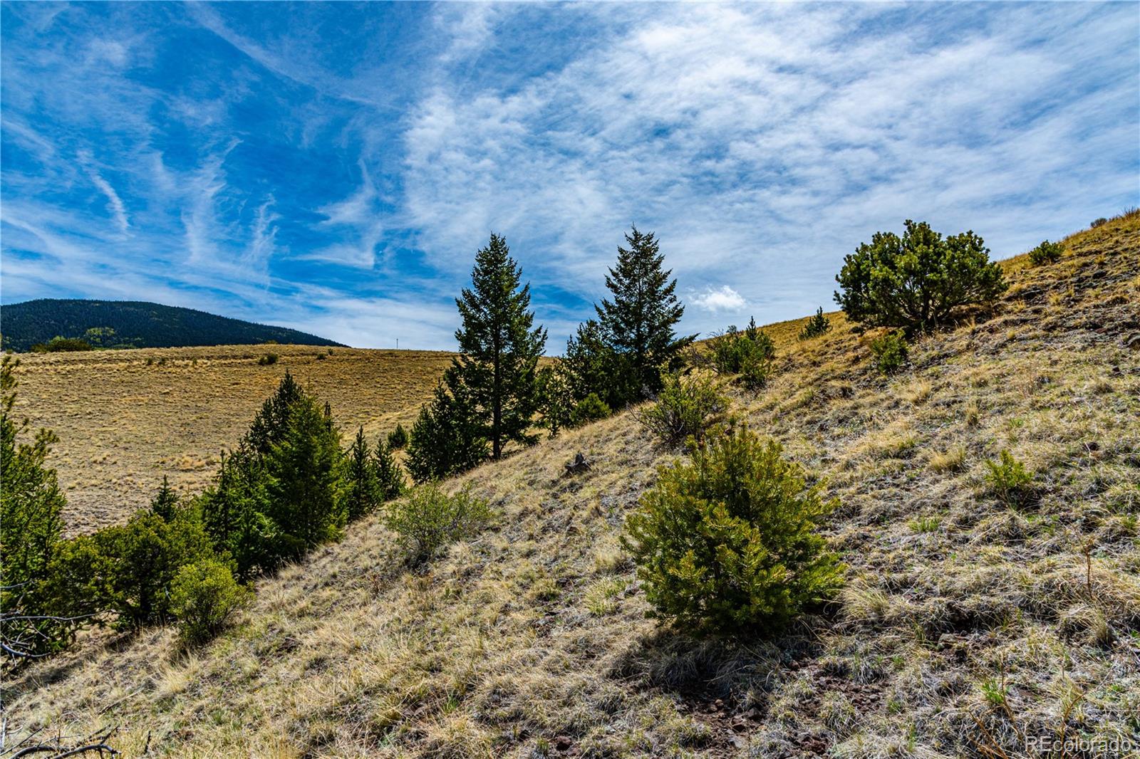 1282 County Road 169a Cotopaxi CO 81223
