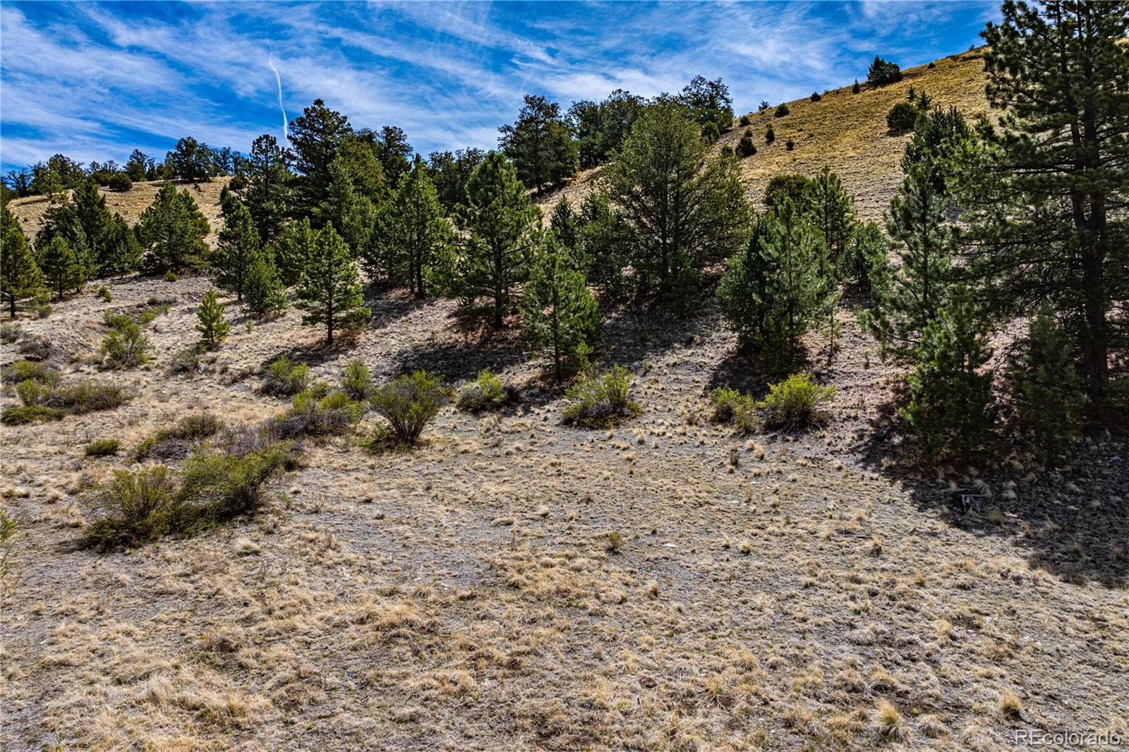 1282 County Road 169a Cotopaxi CO 81223