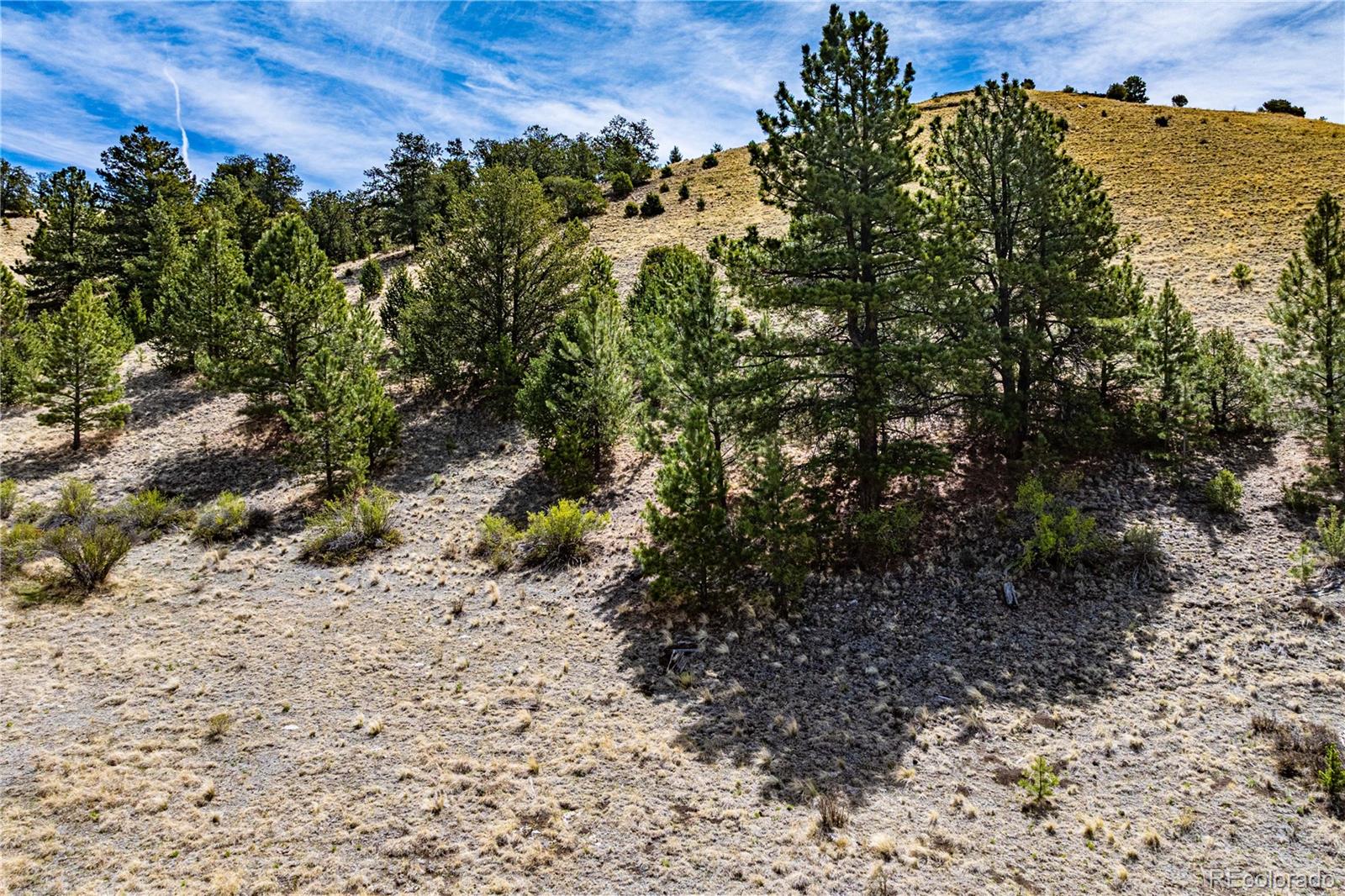 1282 County Road 169a Cotopaxi CO 81223