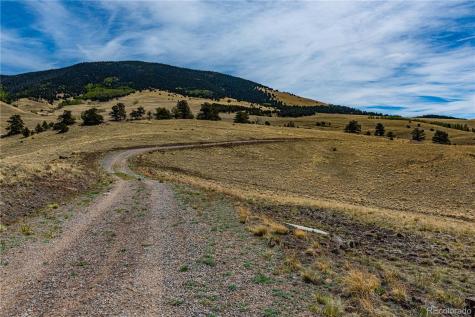 1282 County Road 169a Cotopaxi CO 81223