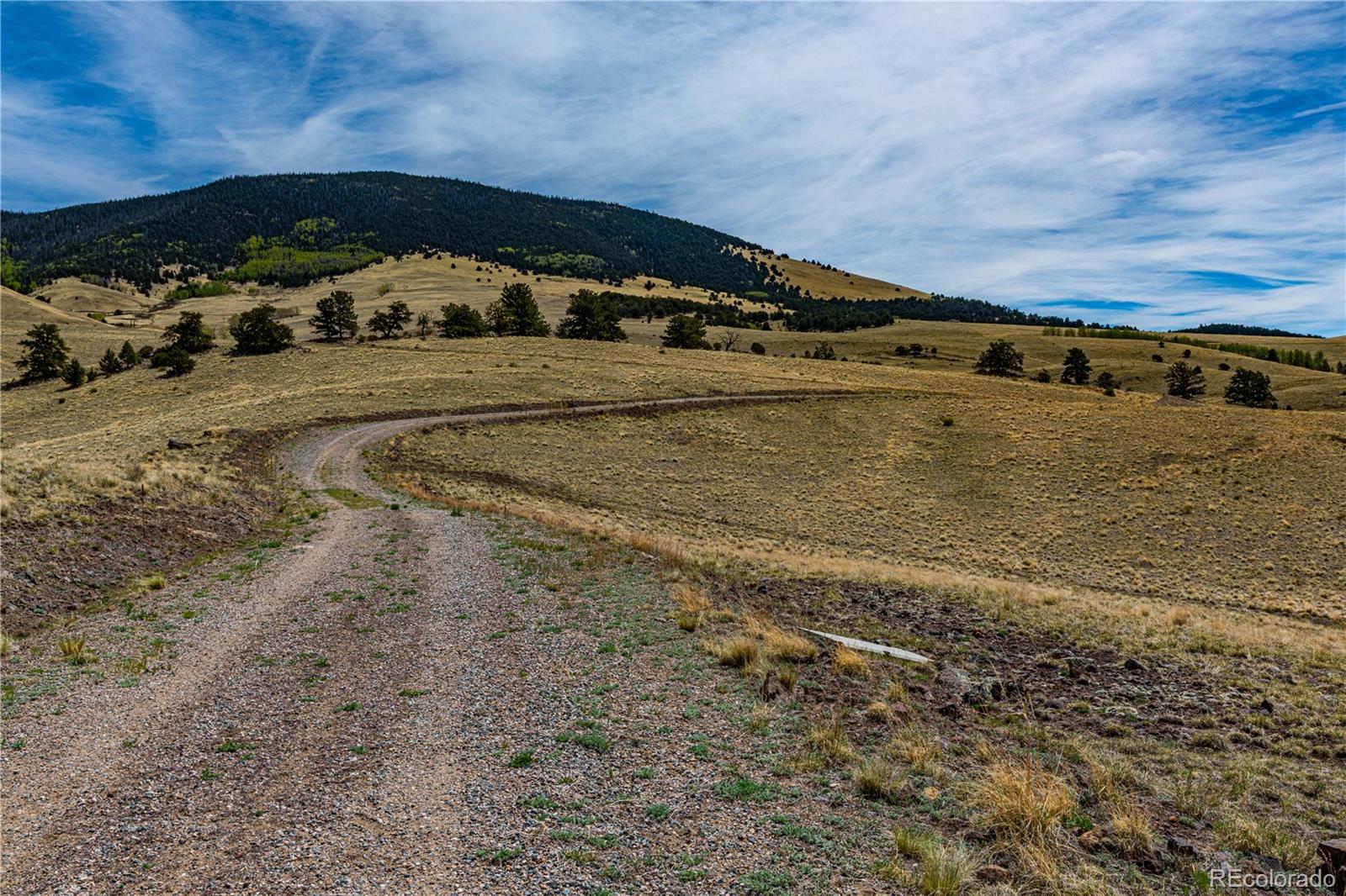 1282 County Road 169a Cotopaxi CO 81223
