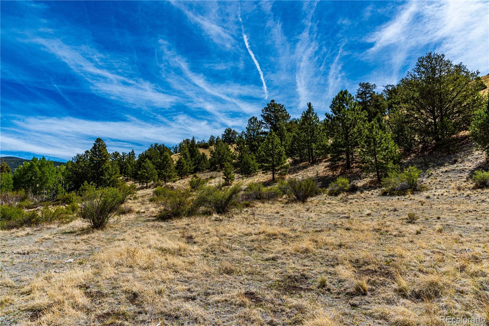 1282 County Road 169a Cotopaxi CO 81223
