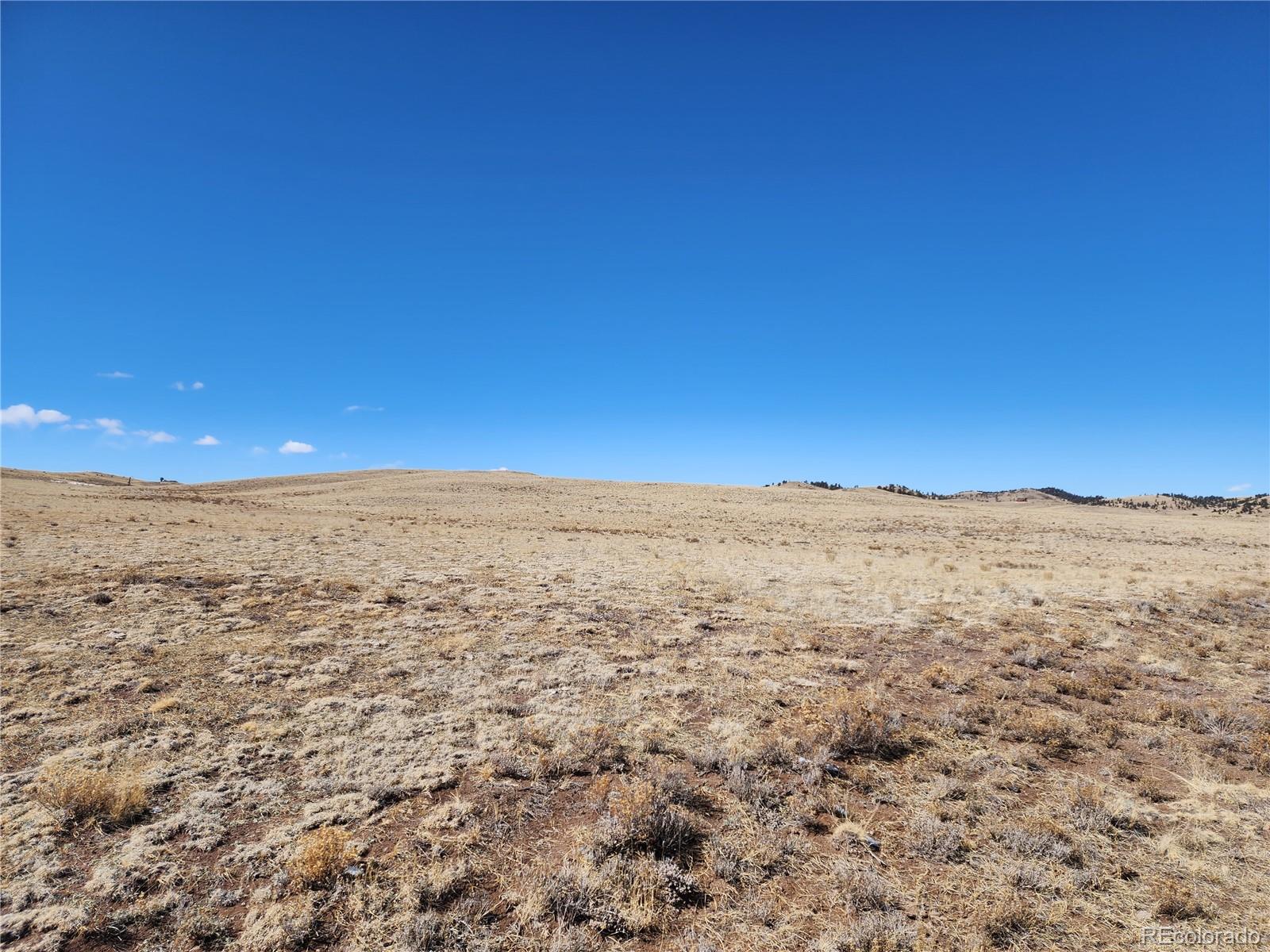 7097 Watonga Road Hartsel CO 80449