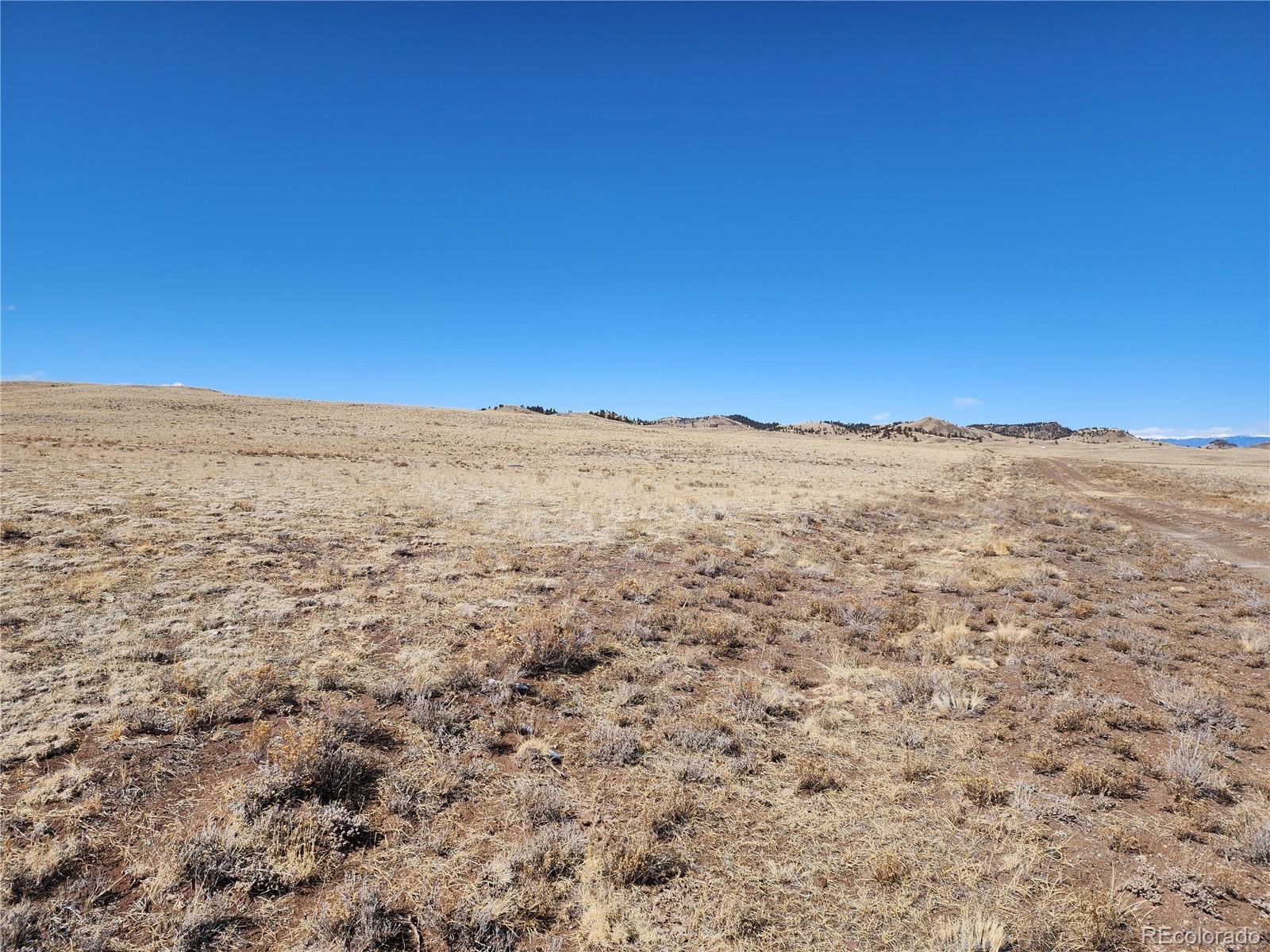 7097 Watonga Road Hartsel CO 80449