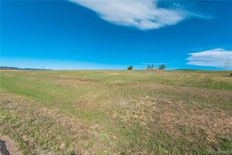 1318 Montcombe Drive Monument CO 80132