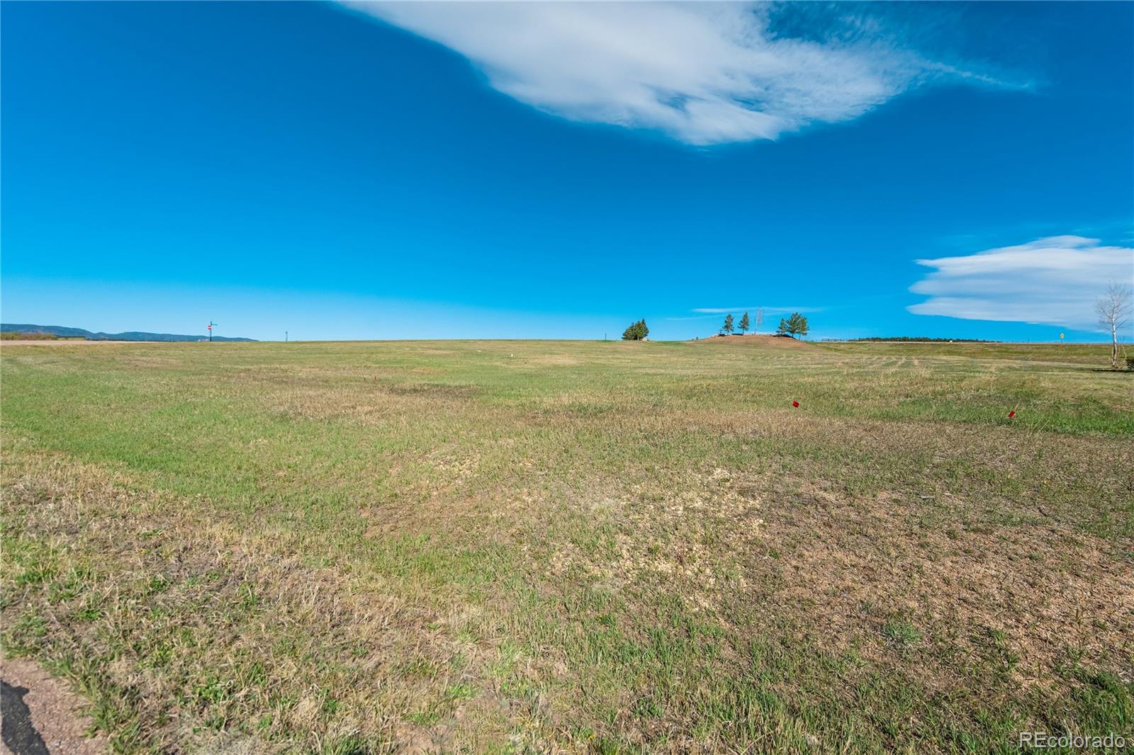 1318 Montcombe Drive Monument CO 80132