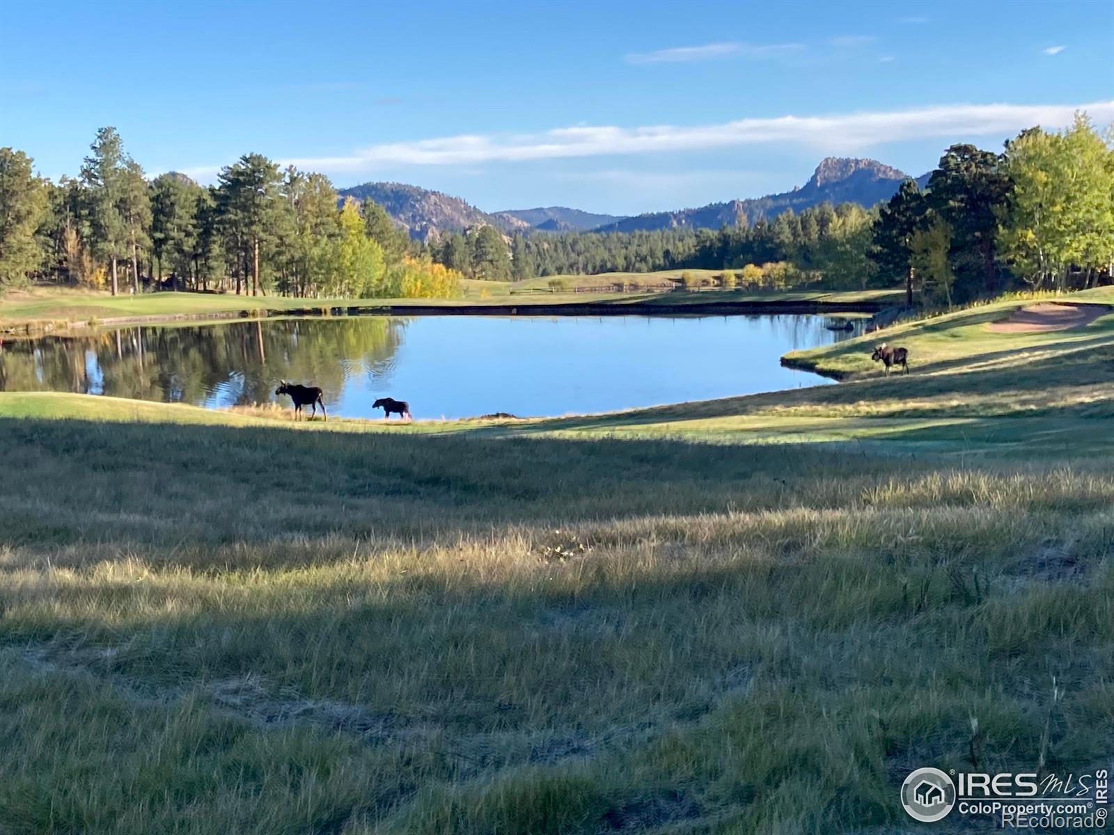3020 Lake Arapahoe Court Red Feather Lakes CO 80545