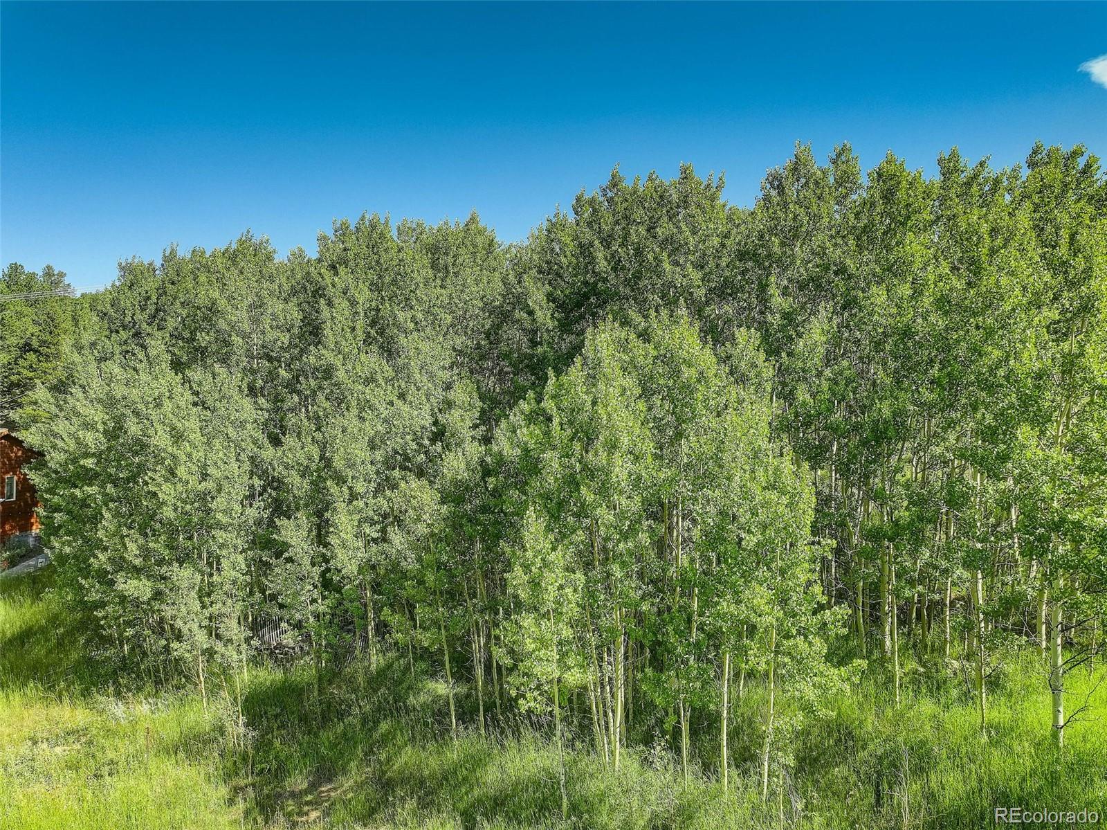 001 Hughesville Road Black Hawk CO 80422