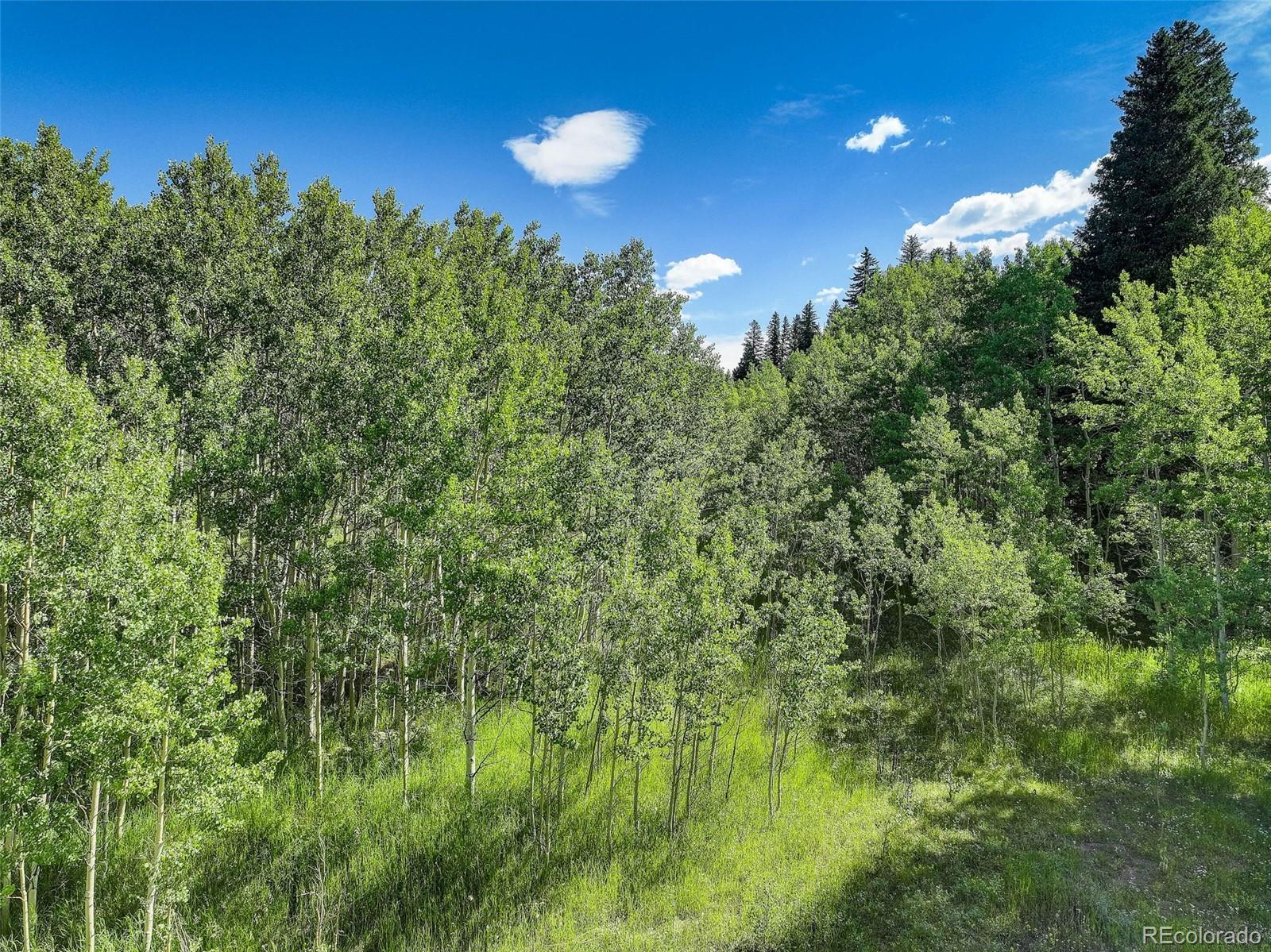 001 Hughesville Road Black Hawk CO 80422