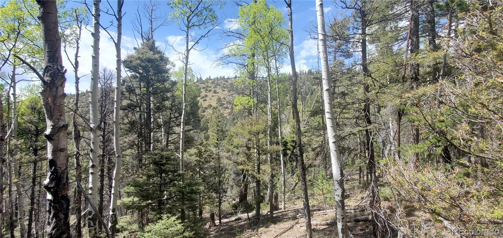 Lot 5610 Dawson Road Fort Garland CO 81133