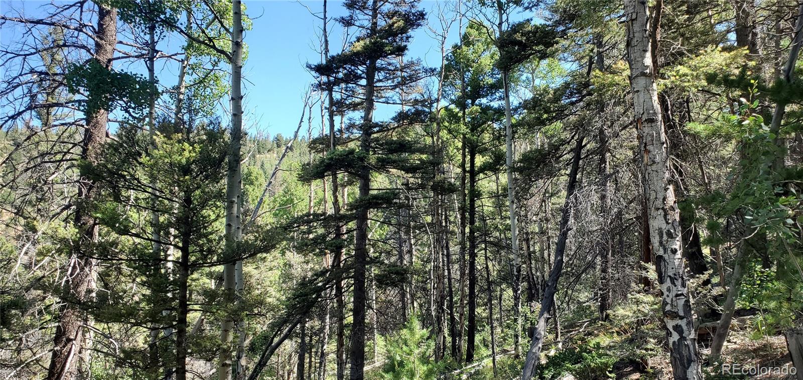 Lot 5610 Dawson Road Fort Garland CO 81133