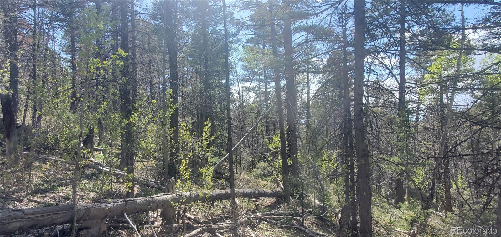Lot 5610 Dawson Road Fort Garland CO 81133