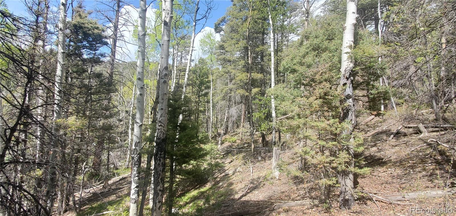 Lot 5610 Dawson Road Fort Garland CO 81133