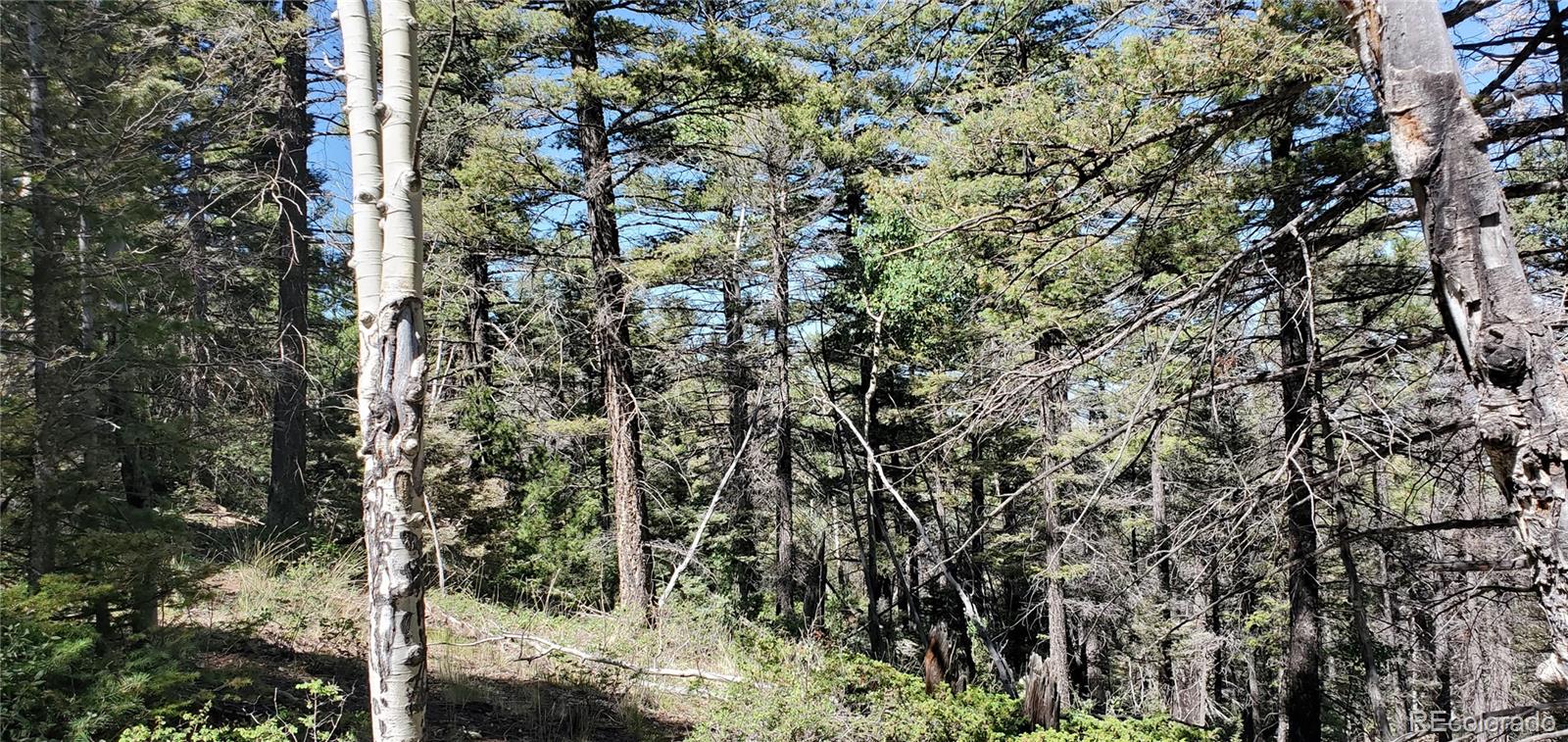 Lot 5610 Dawson Road Fort Garland CO 81133