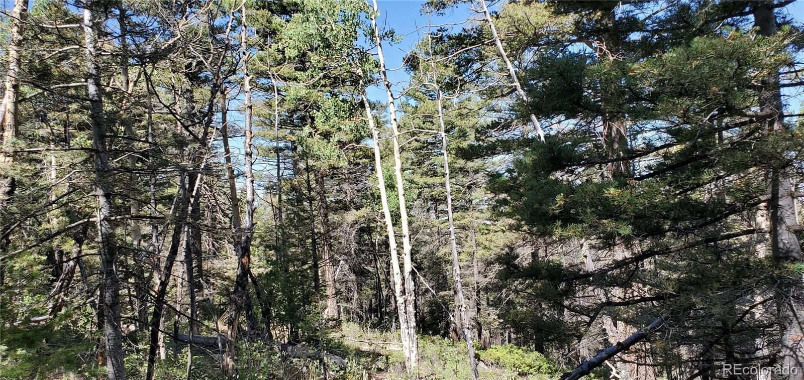 Lot 5610 Dawson Road Fort Garland CO 81133