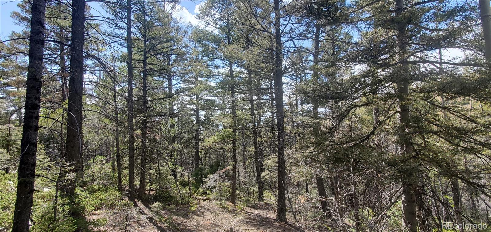 Lot 5610 Dawson Road Fort Garland CO 81133