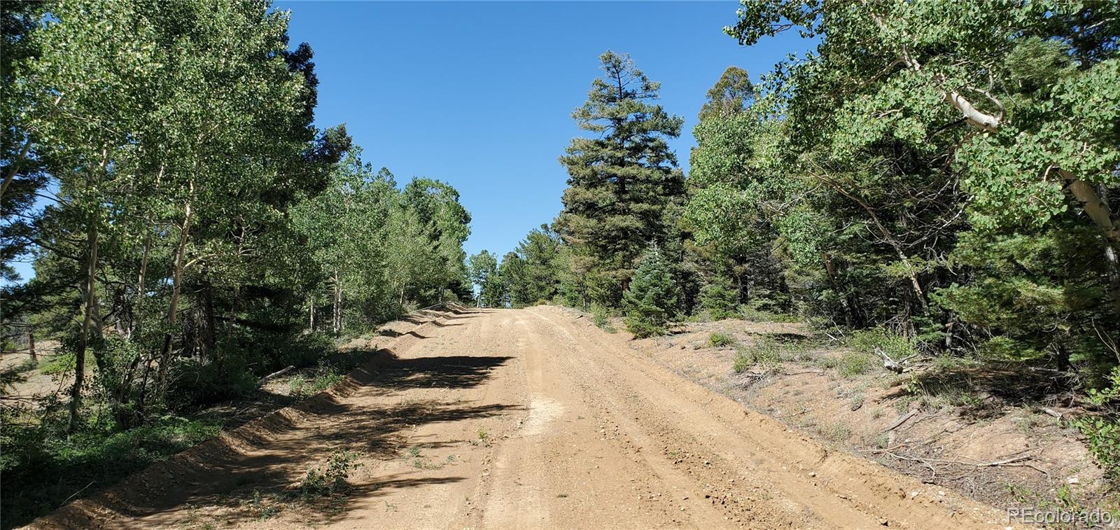 Lot 5610 Dawson Road Fort Garland CO 81133